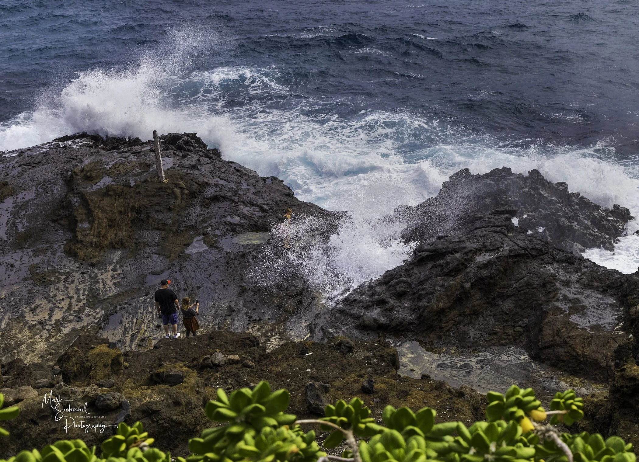 People standing on rocky shoreline with large ocean waves crashing nearby, and bright green plants in foreground.