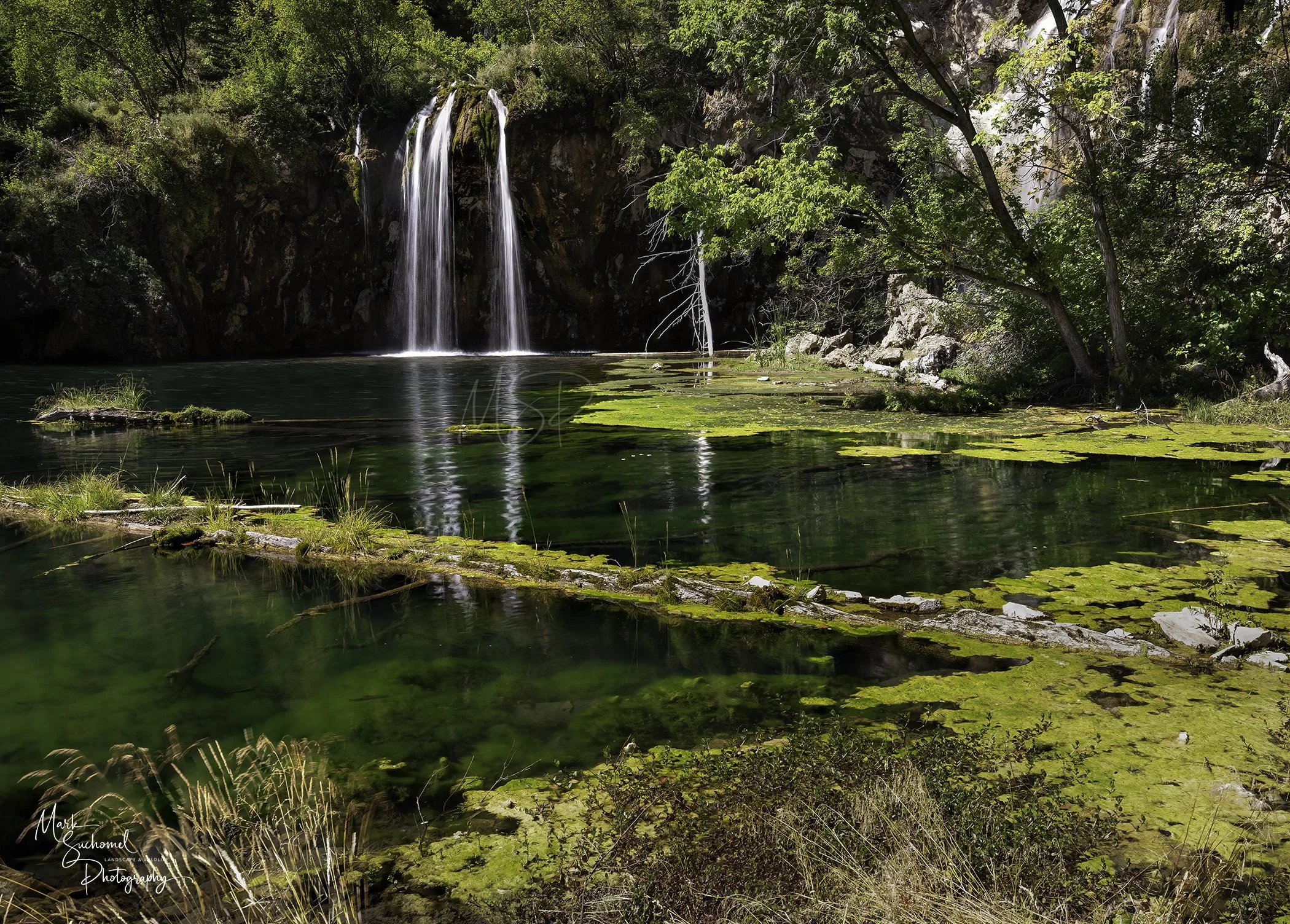 A serene nature scene featuring a small waterfall cascading into a calm pond surrounded by lush green trees and moss-covered rocks.