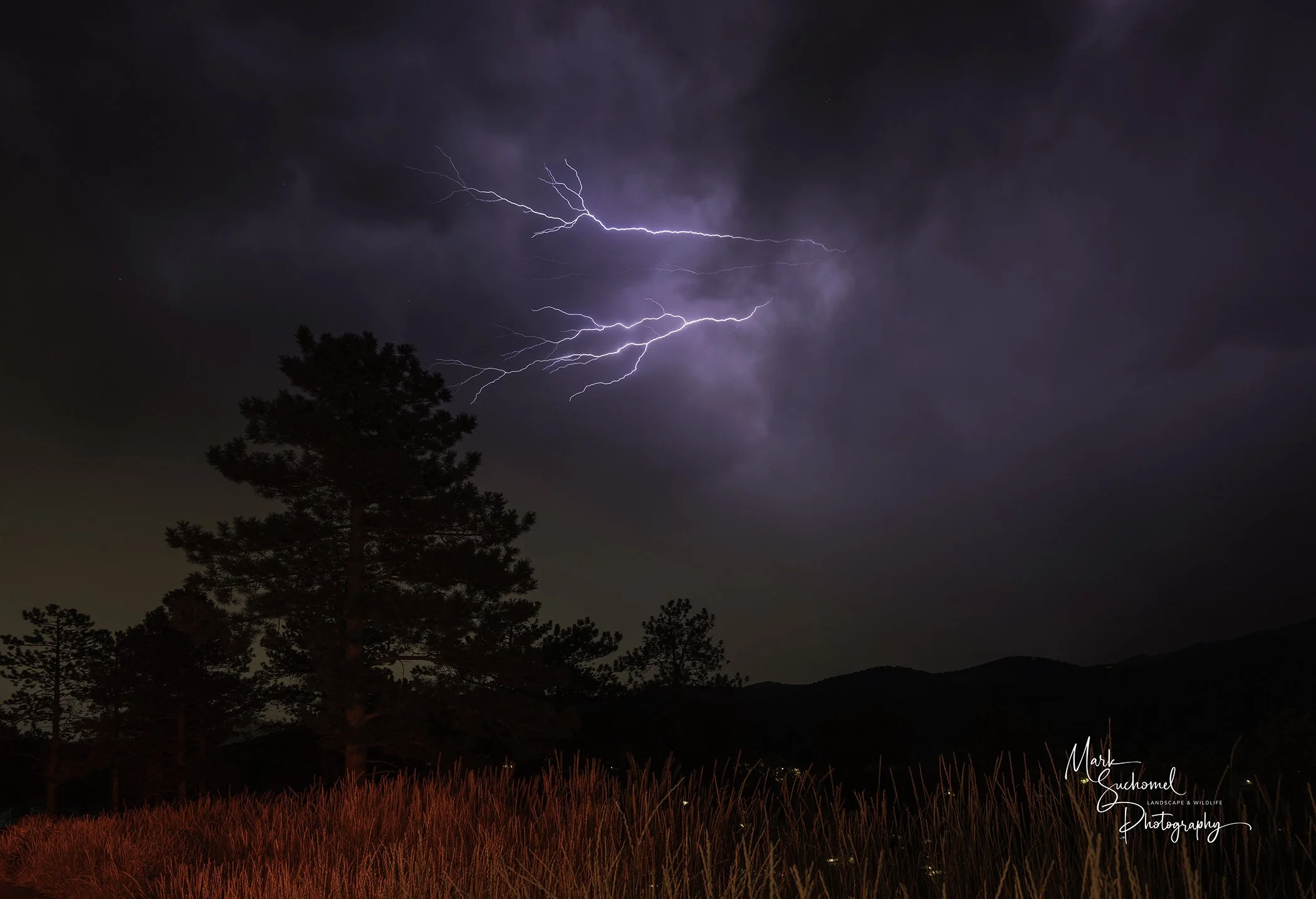 Nighttime landscape with dark sky, lightning bolts, and silhouetted trees and grass in the foreground.