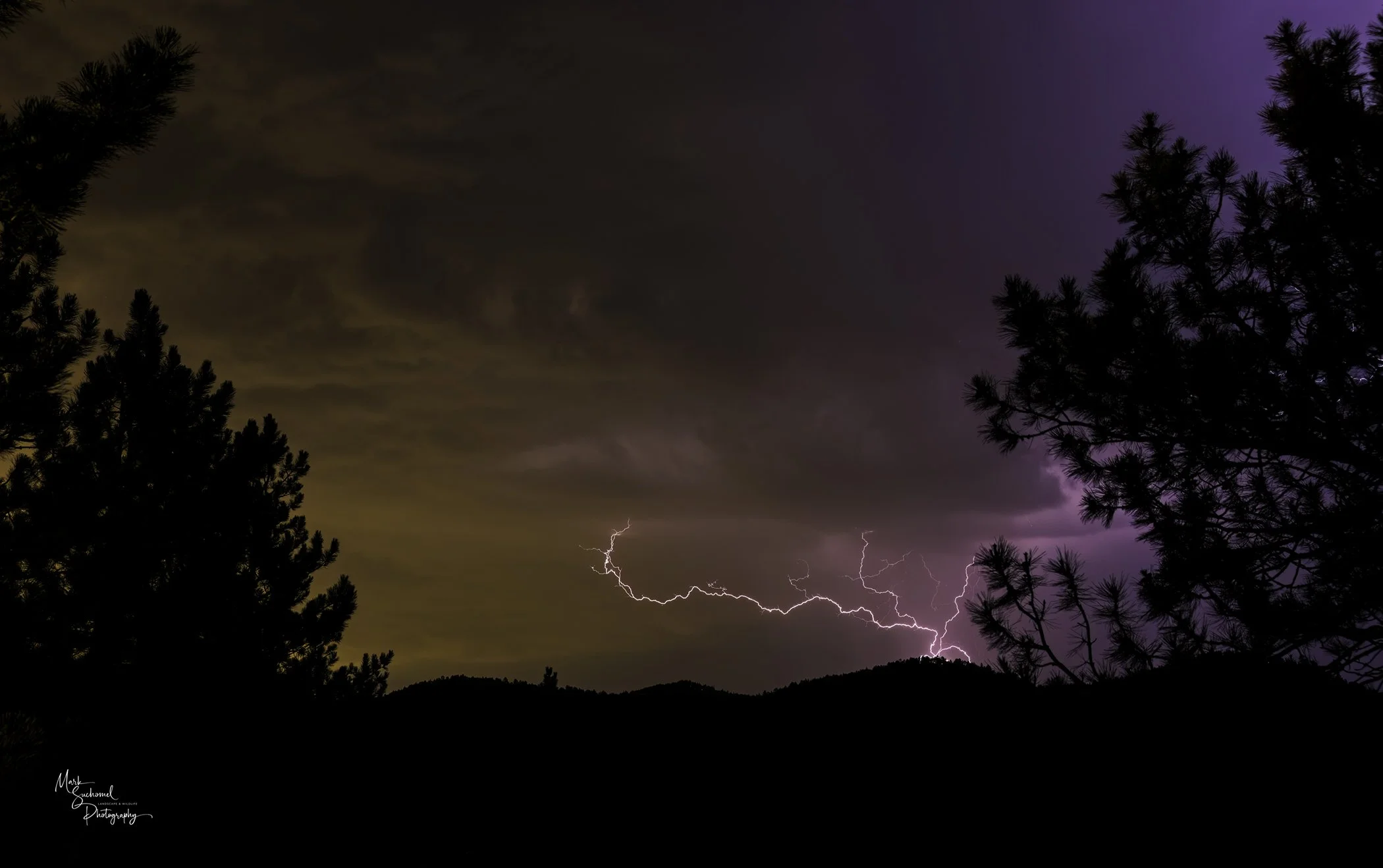 Lightning strikes across a dark cloudy sky with trees silhouetted in the foreground.