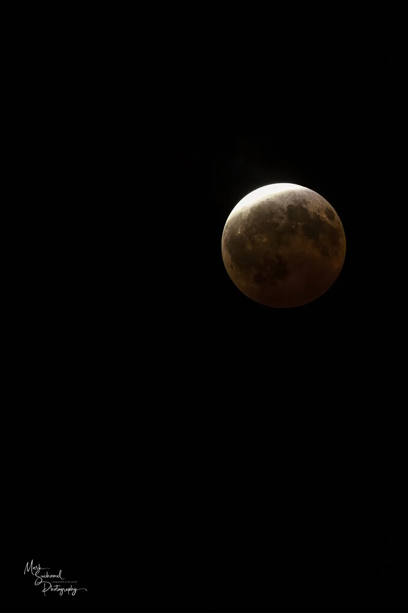 A photo of a blood moon against a night sky as a cloud layer cleared just long enough to make the moon visible.