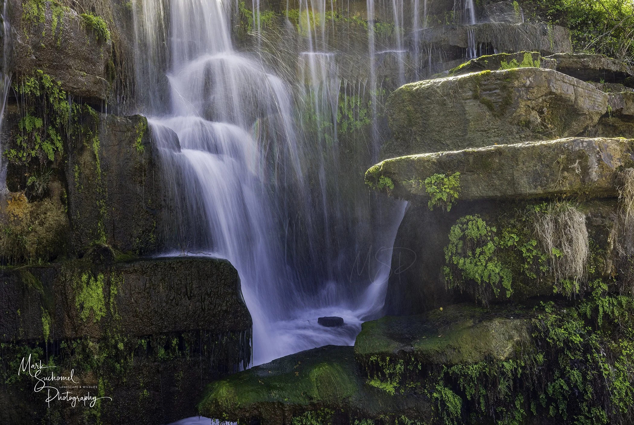 A small waterfall flowing over rocks and moss with lush green plants in a natural setting.
