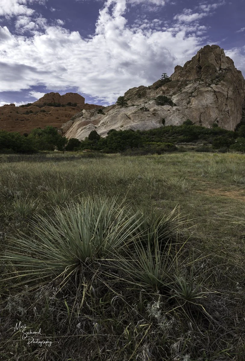 Garden of the Gods landscape