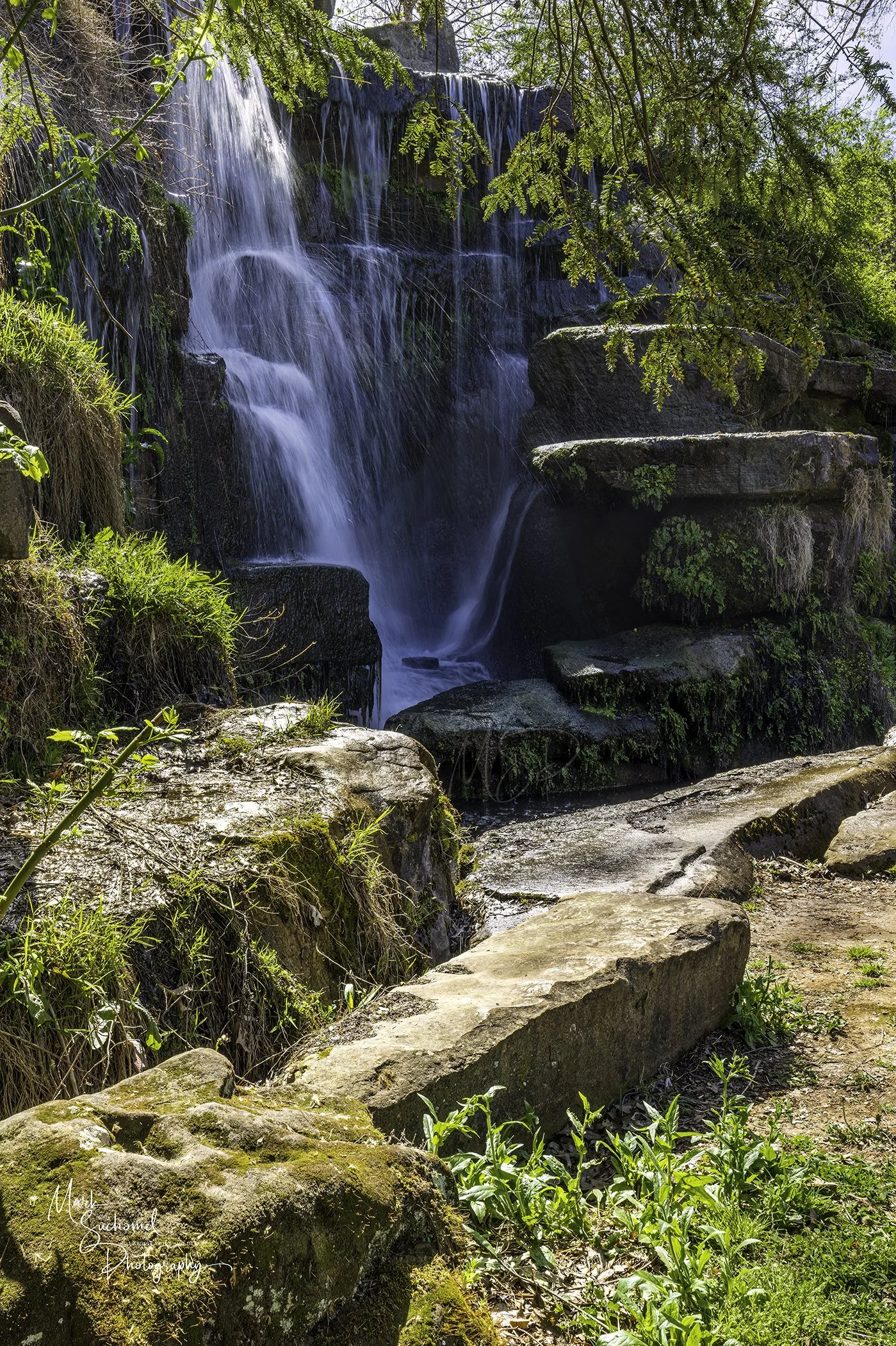 A small waterfall cascading over rocks surrounded by green plants and trees in nature.