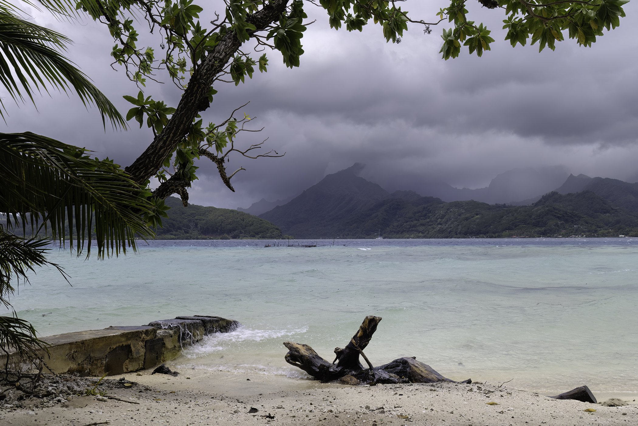 Tropical beach scene with sandy shore, driftwood, calm turquoise water, lush green foliage, and mountains in the cloudy sky in the background.