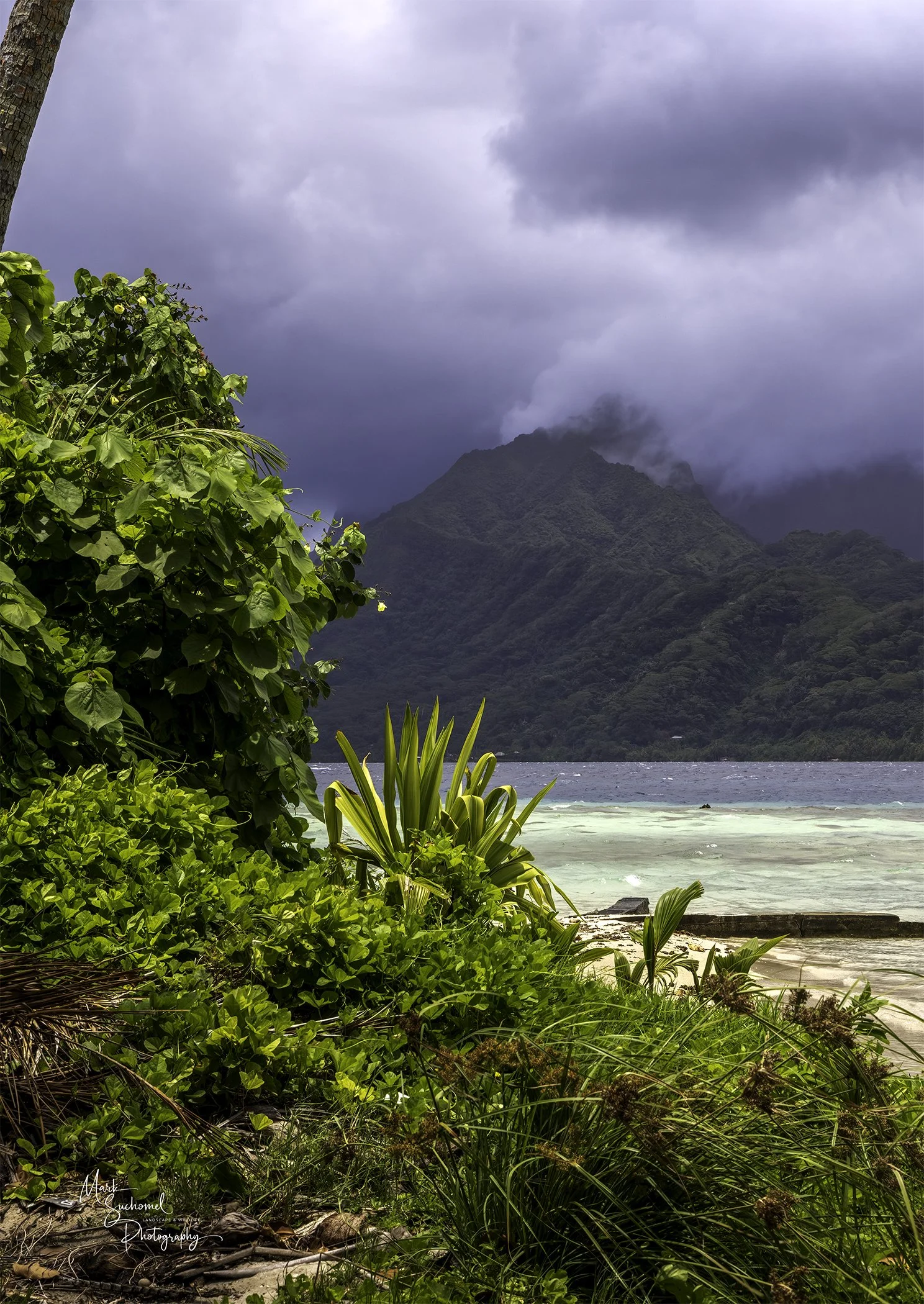 Lush tropical beach with green foliage, a mountain in the distance partly covered by clouds, and a shoreline with light-colored sand and water.