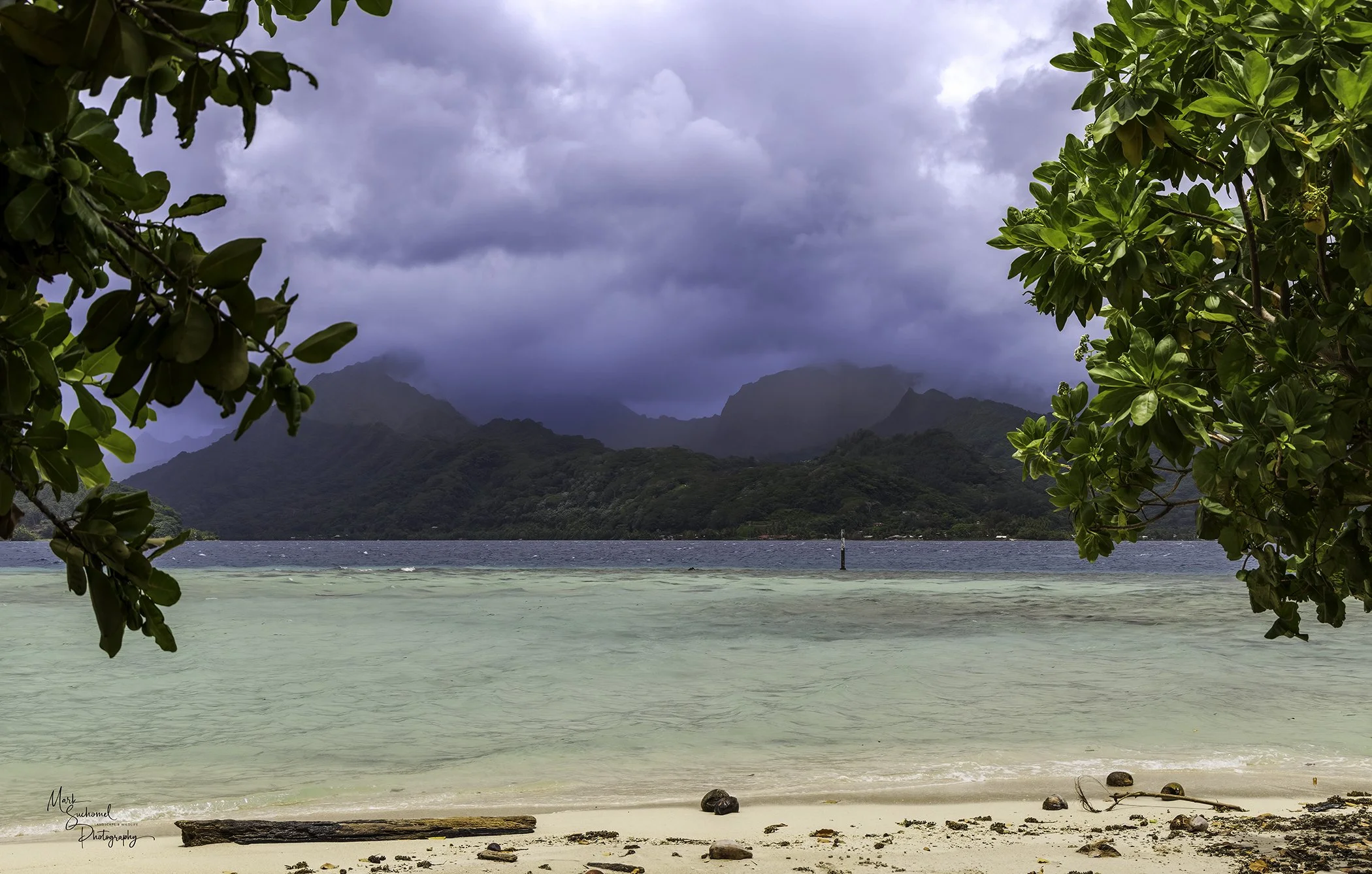 Tropical beach with white sand, rocks, and driftwood, framed by lush green trees, with a distant mountain range under a cloudy sky.