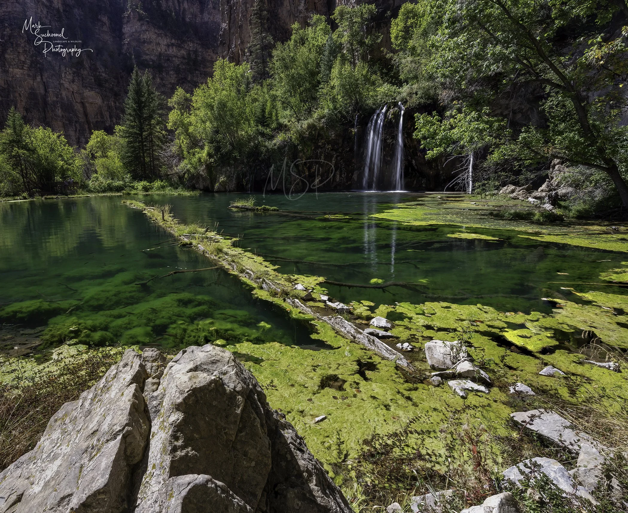 A serene pond with clear green water, surrounded by rocks and lush trees, with a small waterfall cascading into the pond in the background.