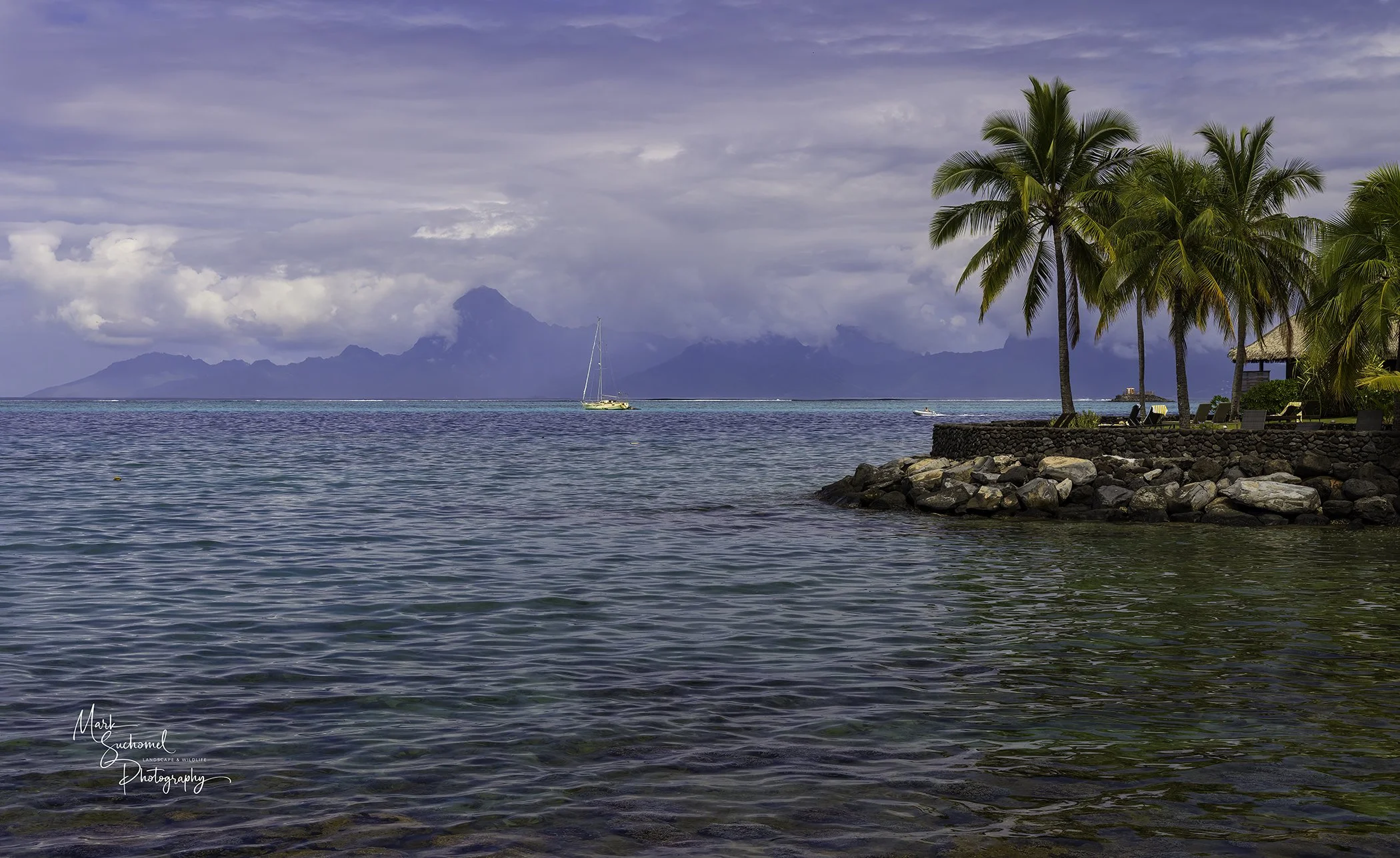 Tropical scene with clear water, palm trees, and mountains in the background, overcast sky, and a sailboat on the water.