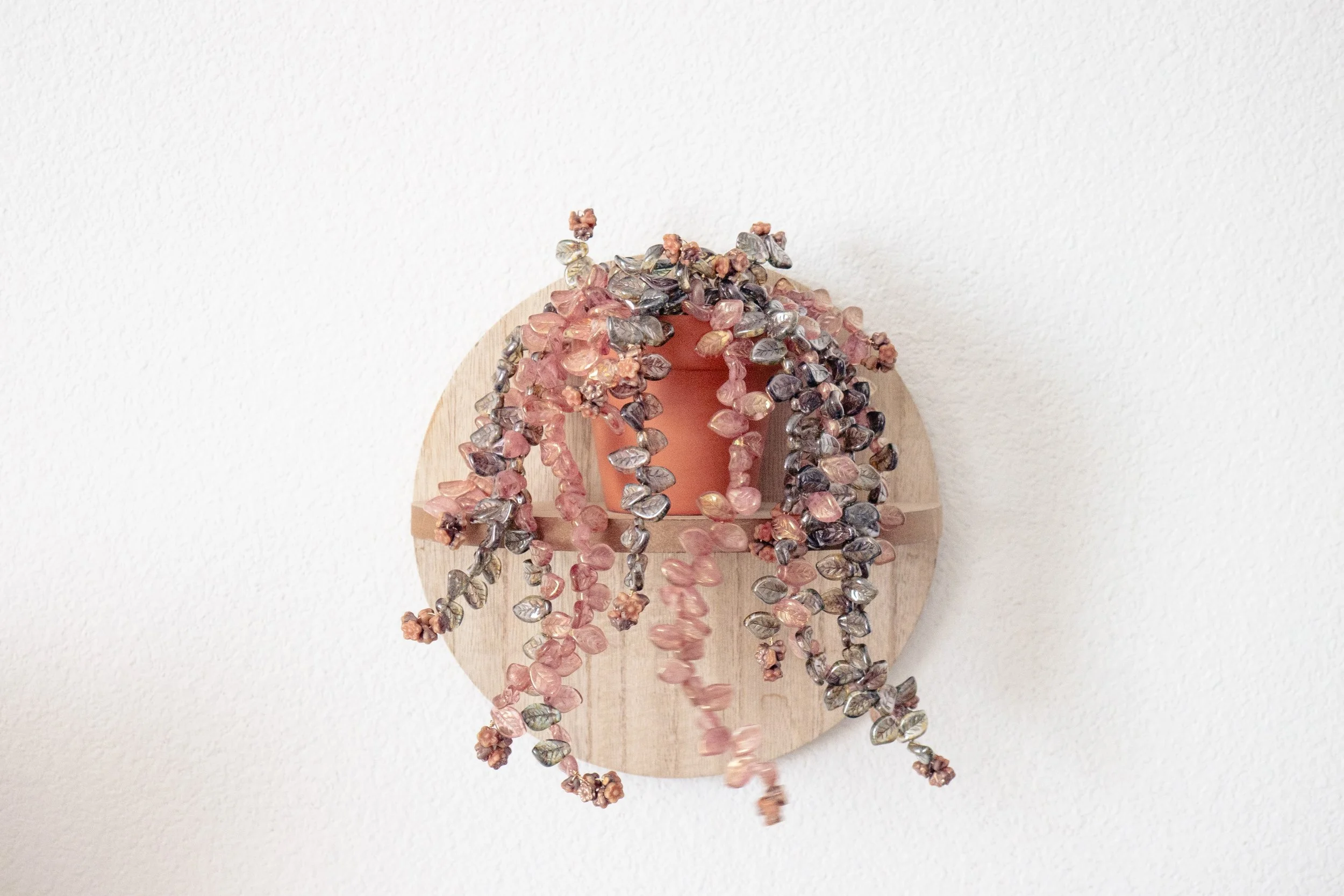 20250409_Starman_Beaded_Plant-25.jpg