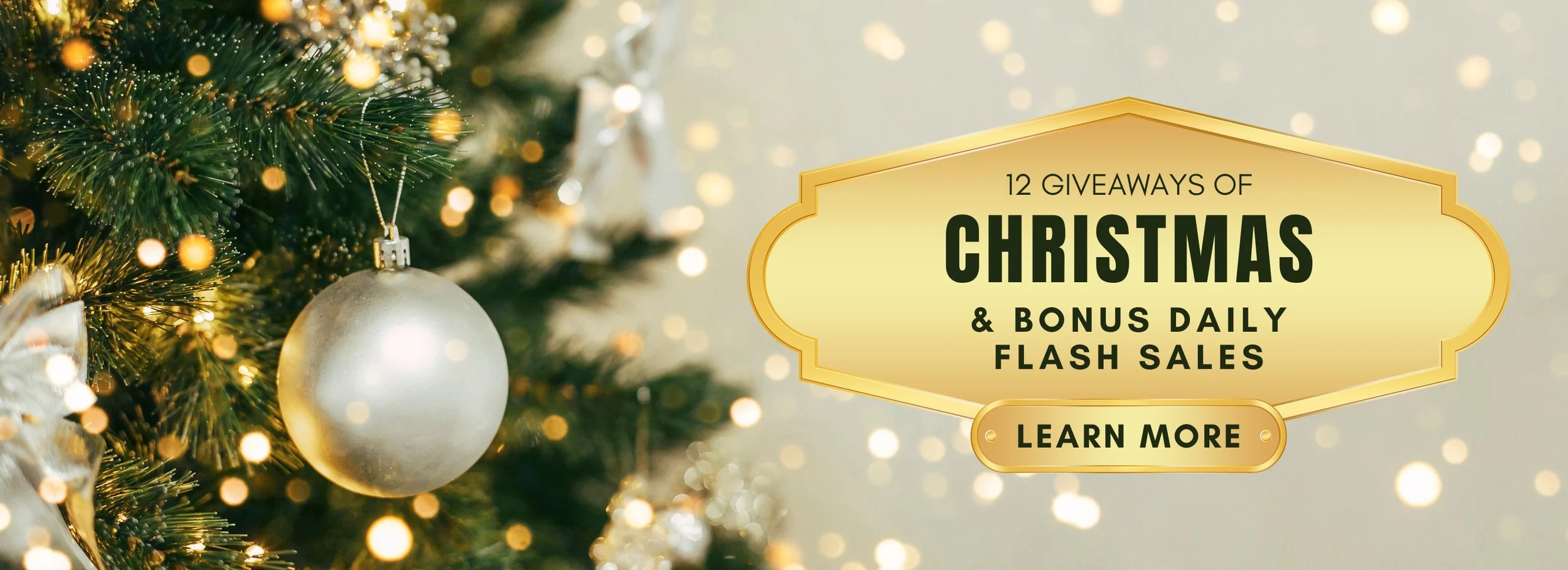 20241205-bhq-12-days-of-christmas-slide.jpg