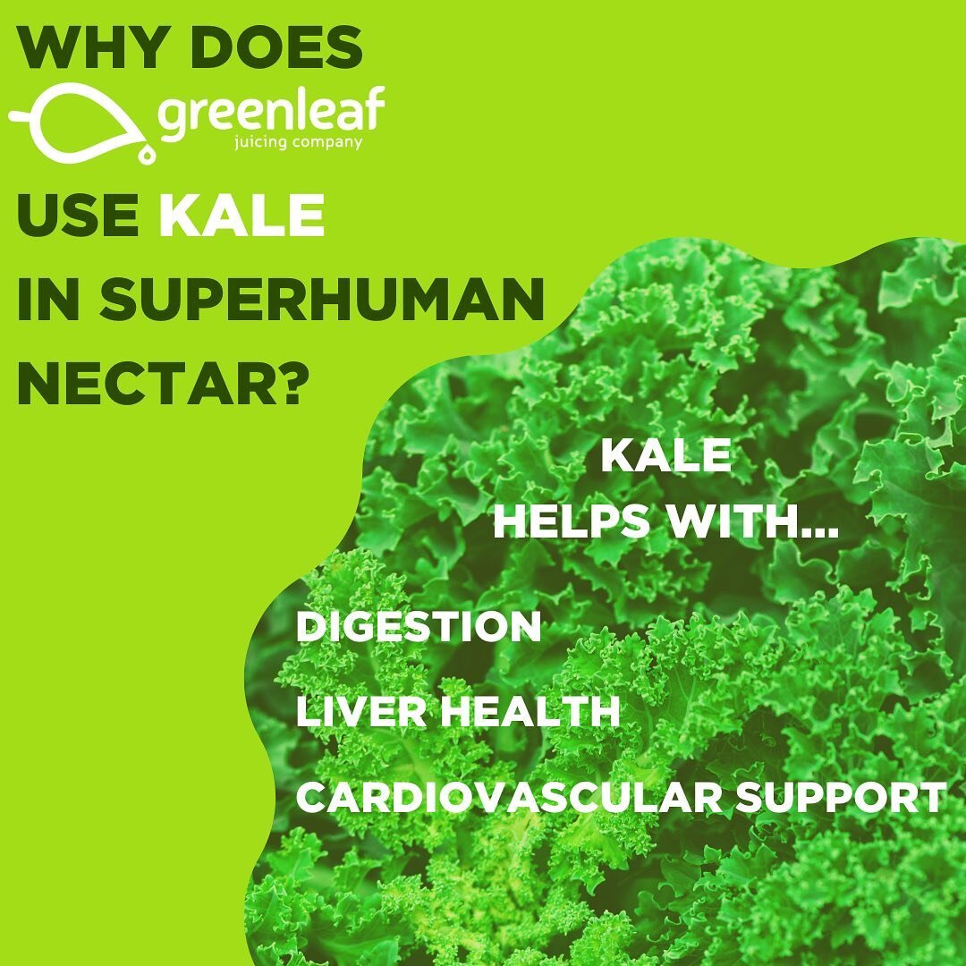 Kale is just one of the many superfoods that you can find in our Superhuman Nectar! Try it today! 

#greenleafjuice #greenleafnectar #nectar #superhuman #kale #digestion #health #healthyliving #nutrition #sustainable #organic #onthego