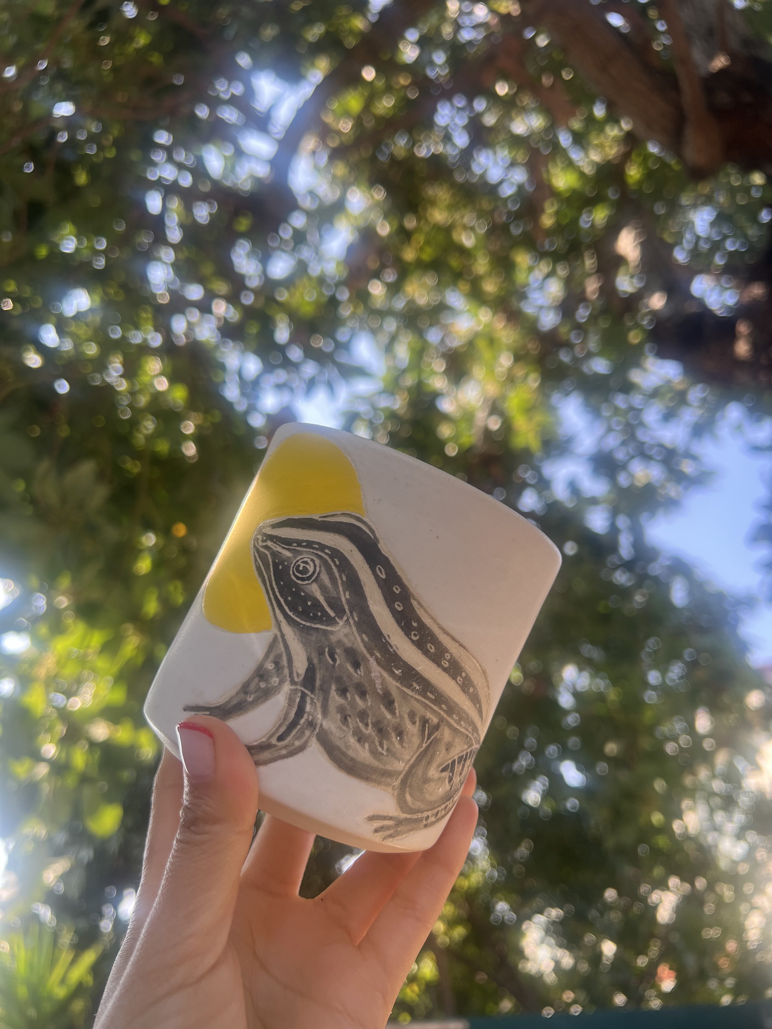 Sunrise Frog Small