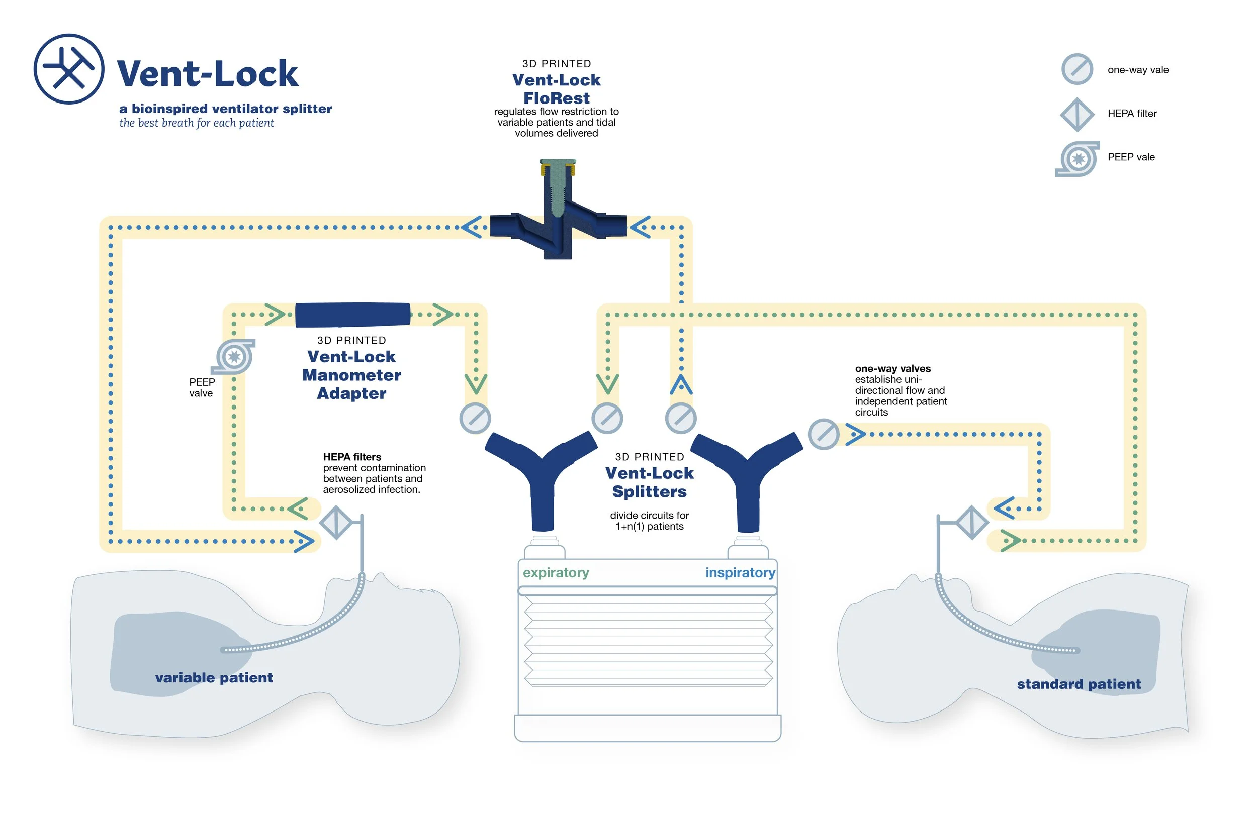 This diagram illustrates how a ventilator splitter divides air between two patients and how the ventlock system is set up.