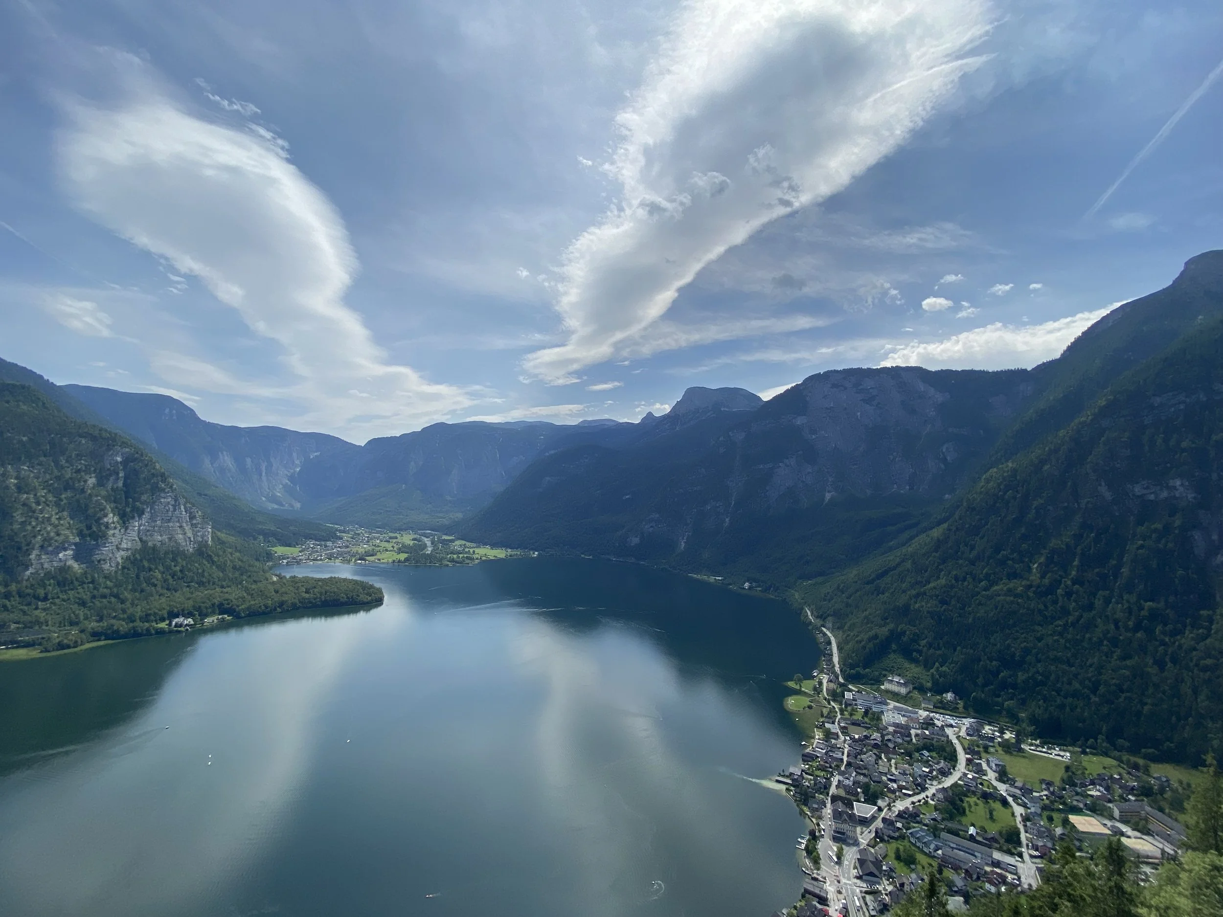 Green-Tonya Amini.jpg