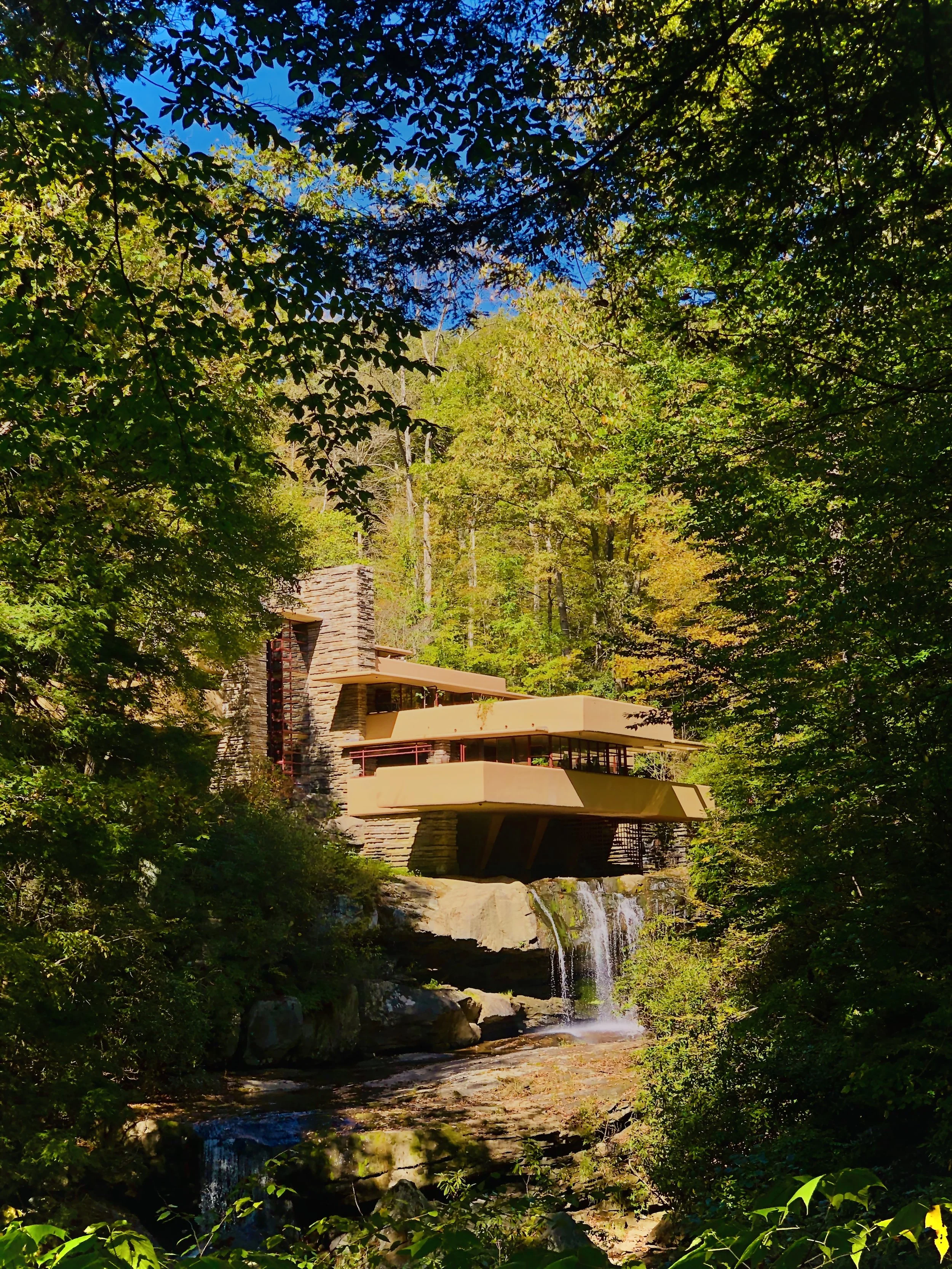 Stillness in the Cascade