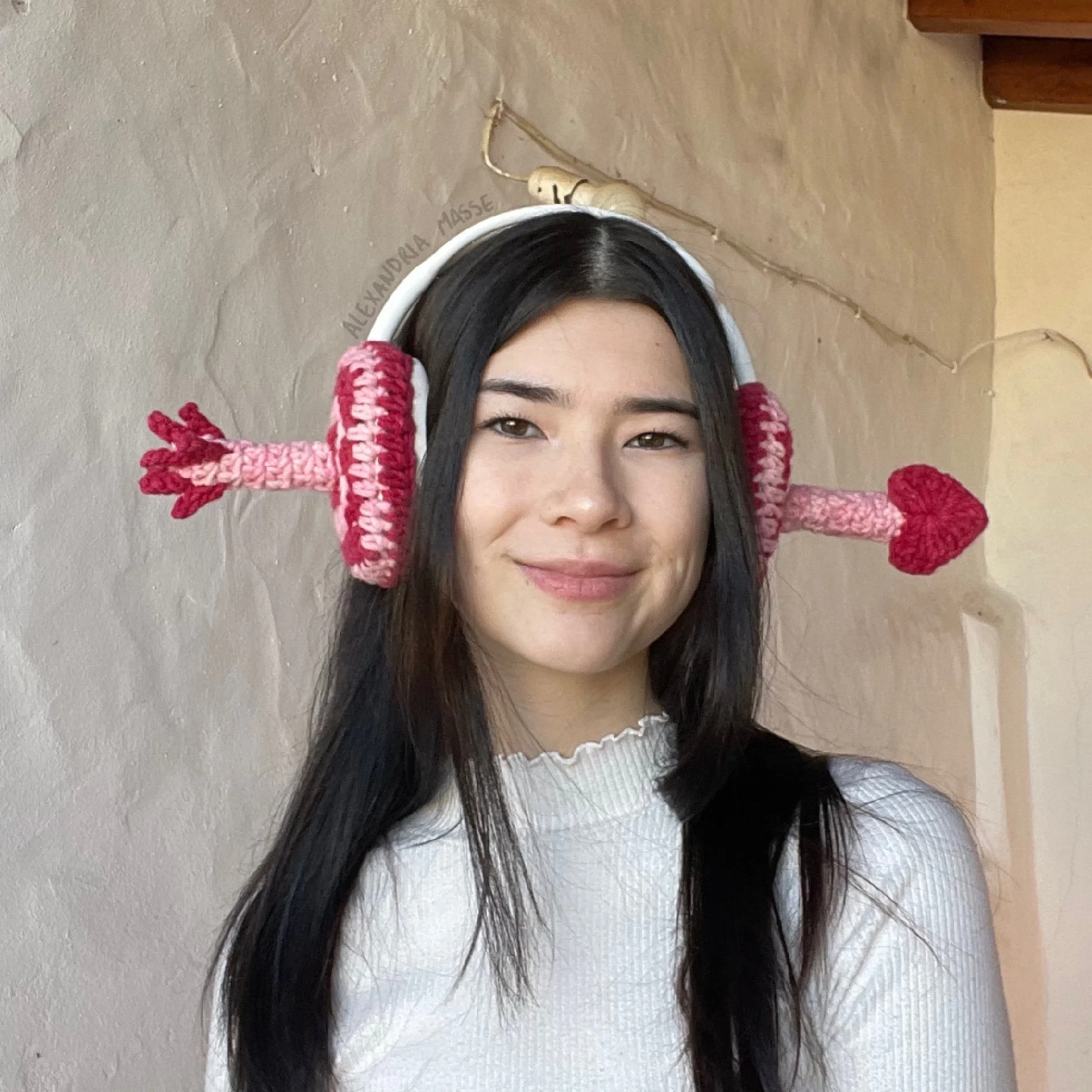 Headphone Covers — Alexandria Masse