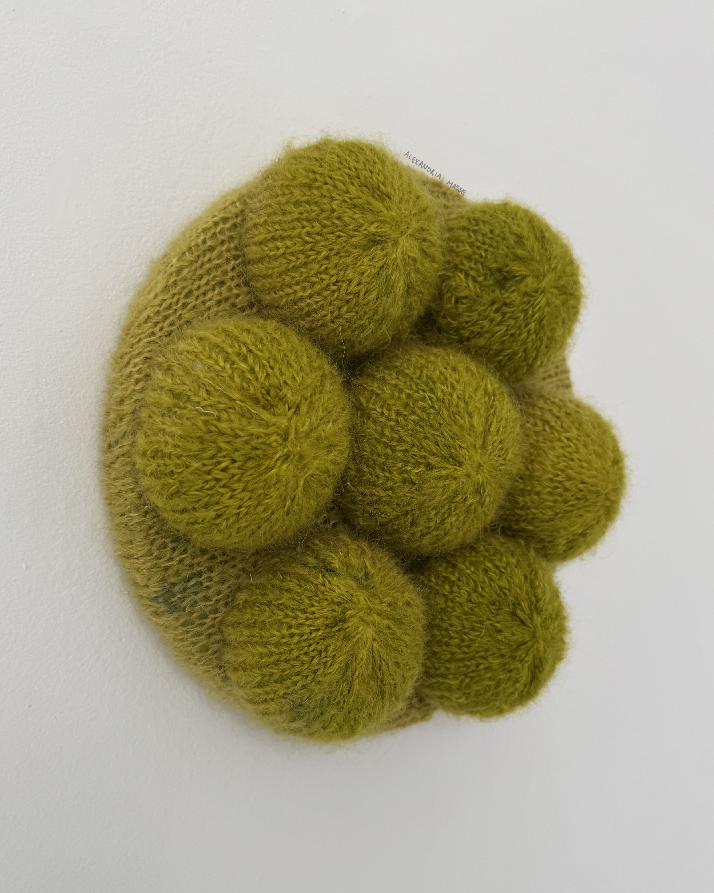 bad sport, 100% wool hand dyed with acid dye, 10 by 10 inches, 2025