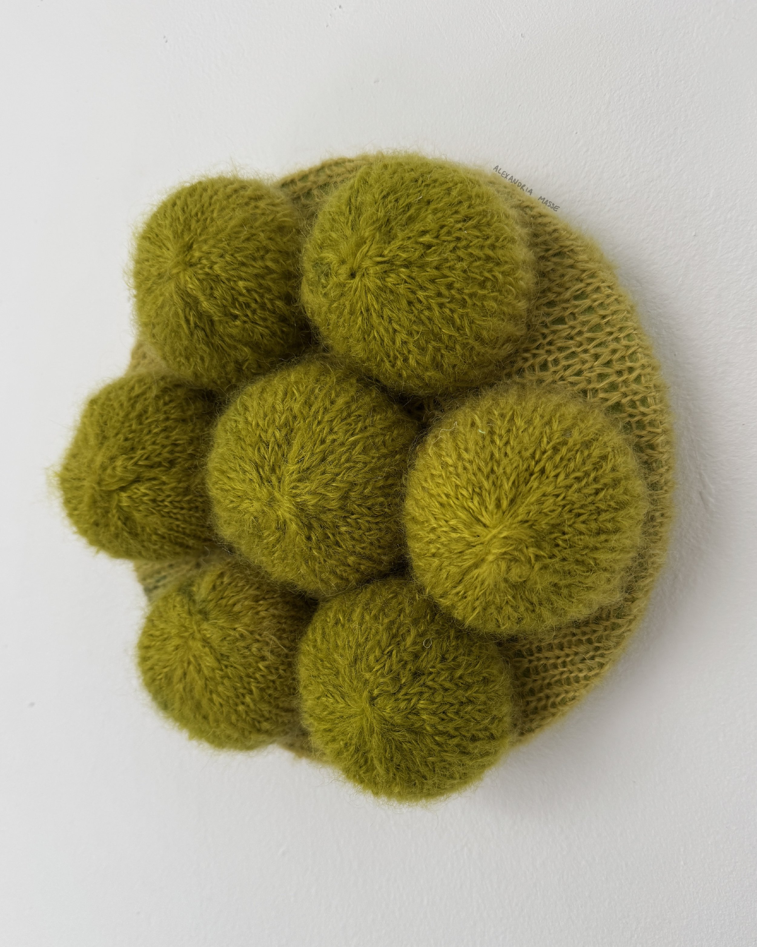 bad sport, 100% wool hand dyed with acid dye, 10 by 10 inches, 2025