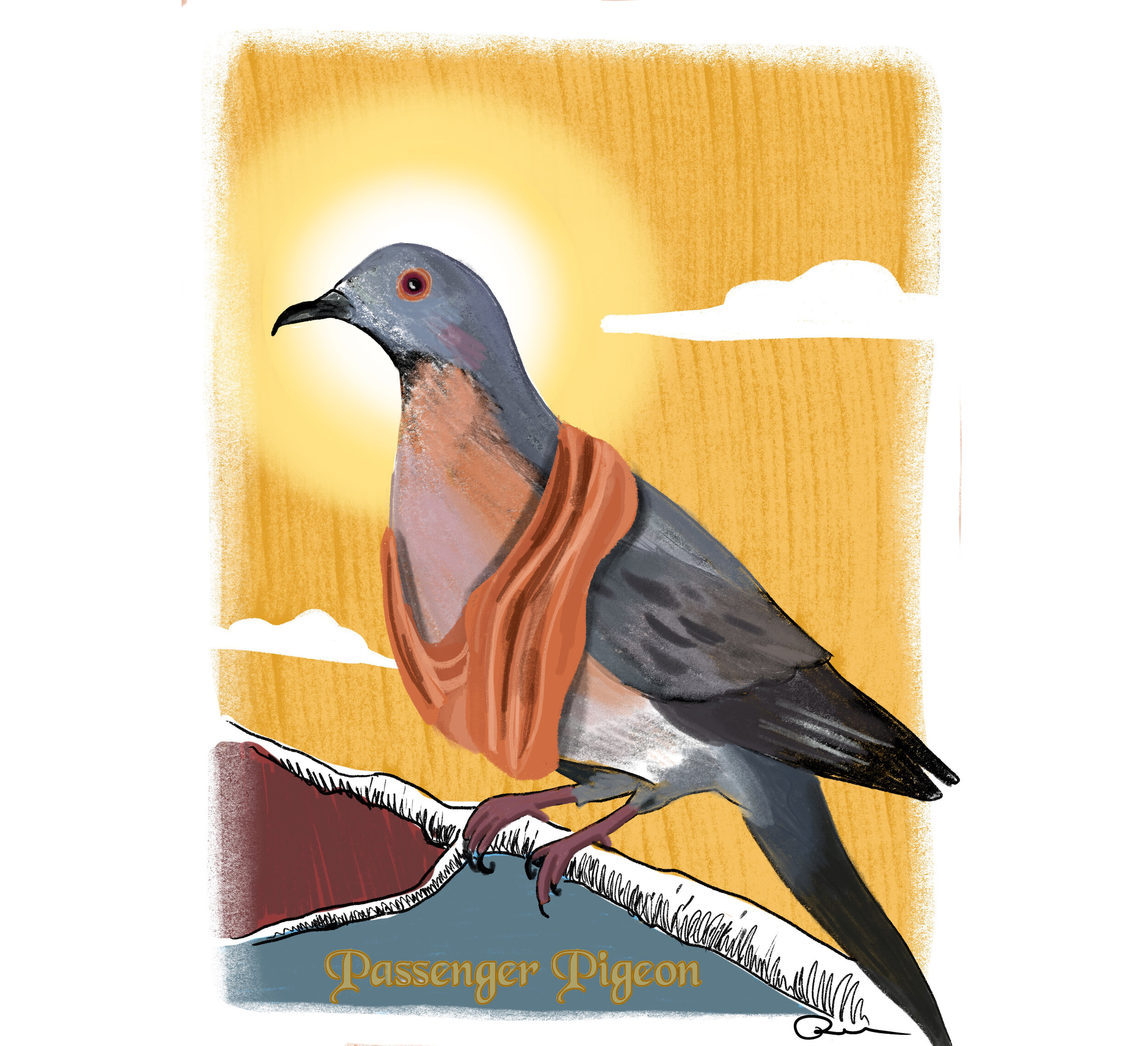 RebeccaDemos_PassengerPigeon.jpg
