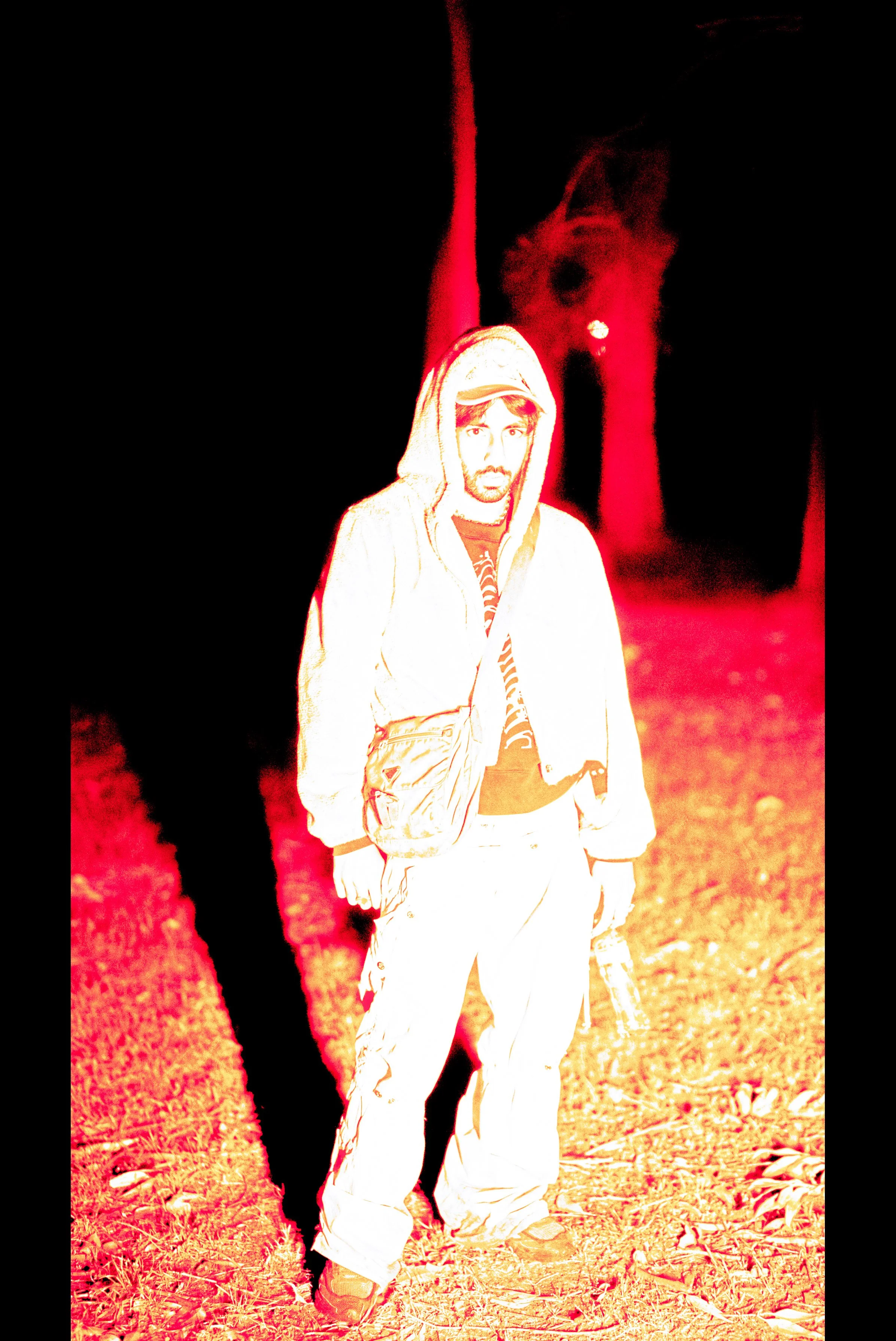 Sequence 01.00_05_41_02.Still062.jpg