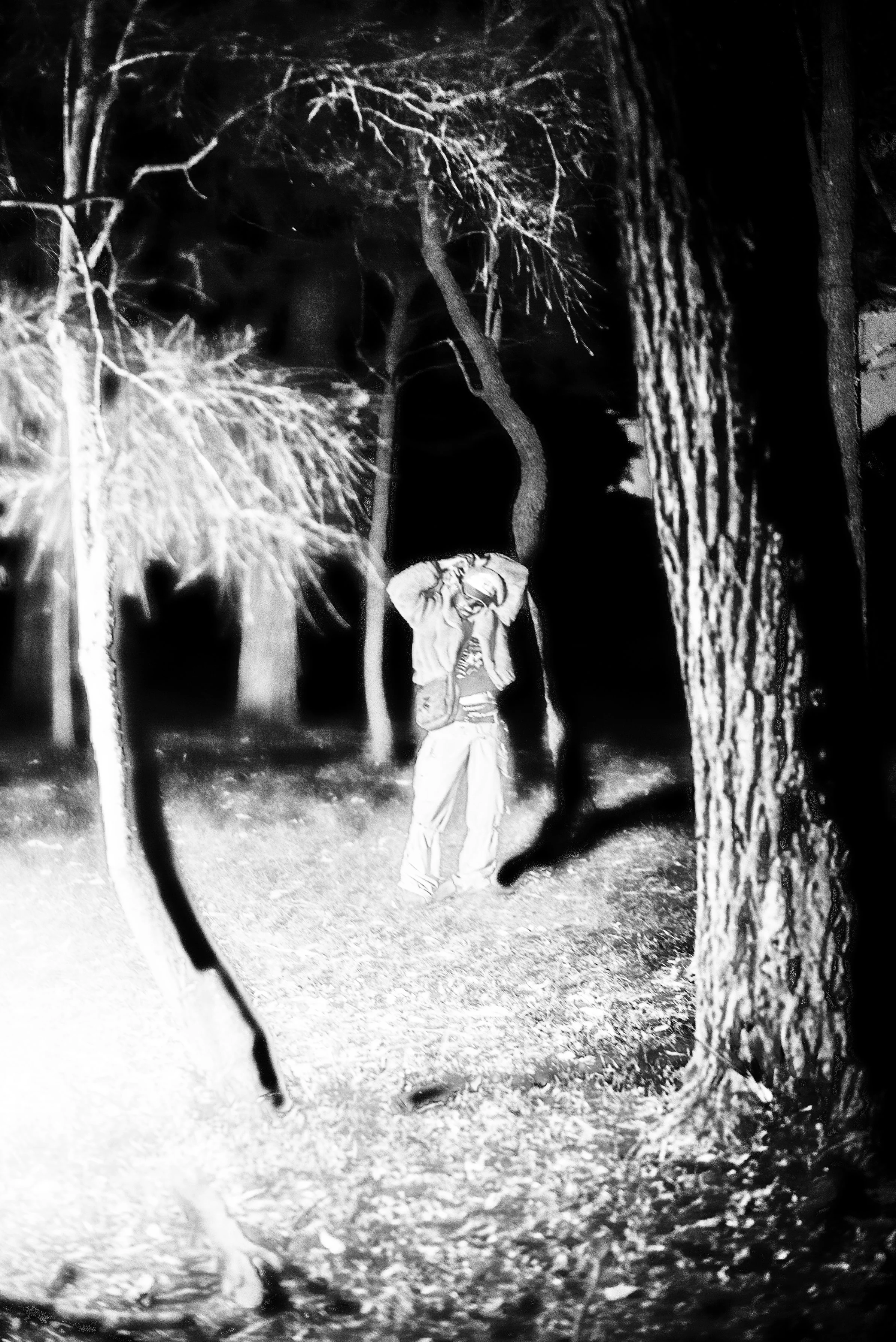 Sequence 01.00_06_08_14.Still066.jpg