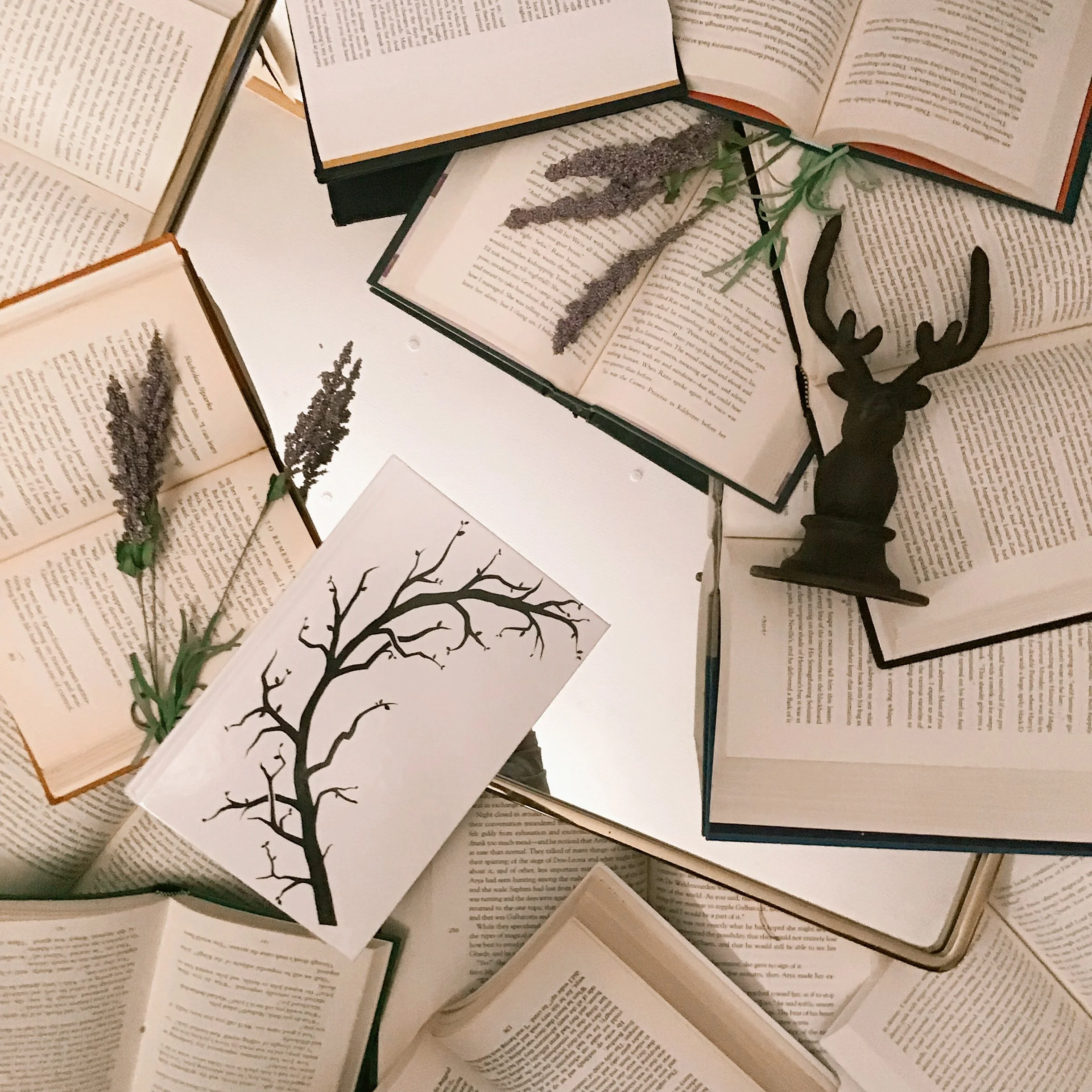 How to Publish a Book on Amazon: The Basics