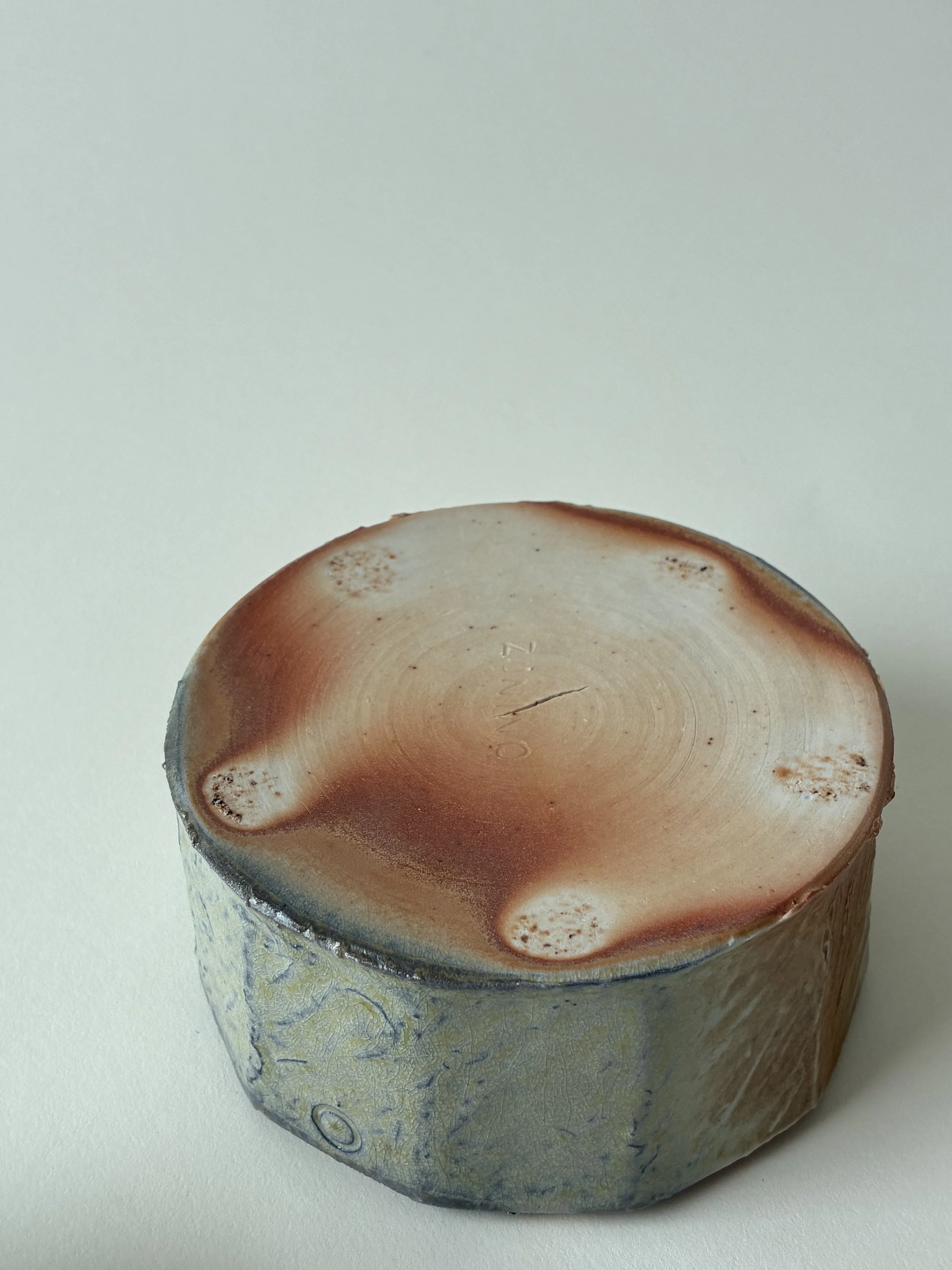 IMG_7331.jpeg