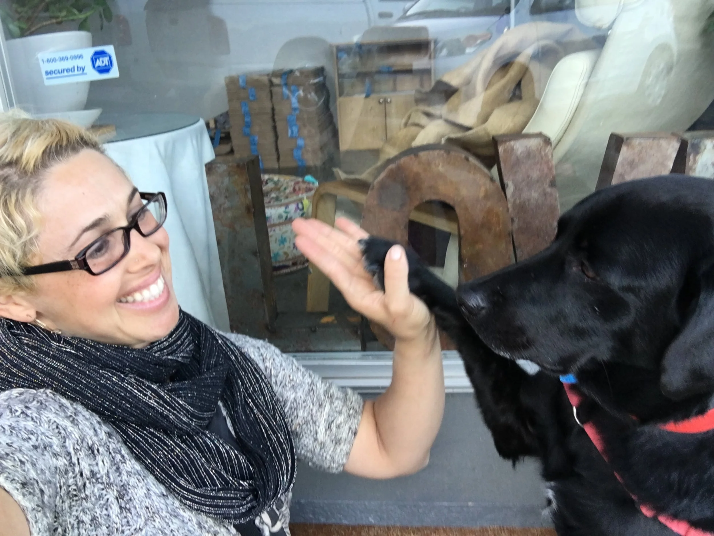 Moving day at Zen Lot
