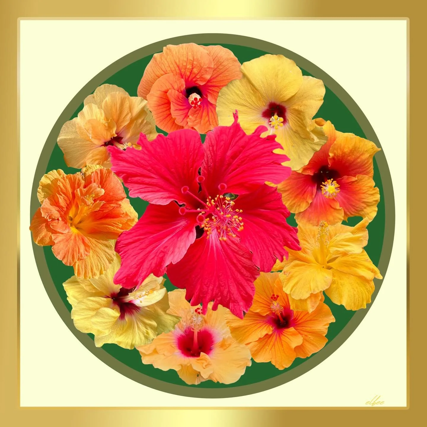 Add a pop of colour to your walls with the Hibiscus Platter, a vibrant and stylish wall hanging that creates a natural focal point in any lounge or dining room. 
Unframed print. Framing options available . Also available as a digital download. DM me 