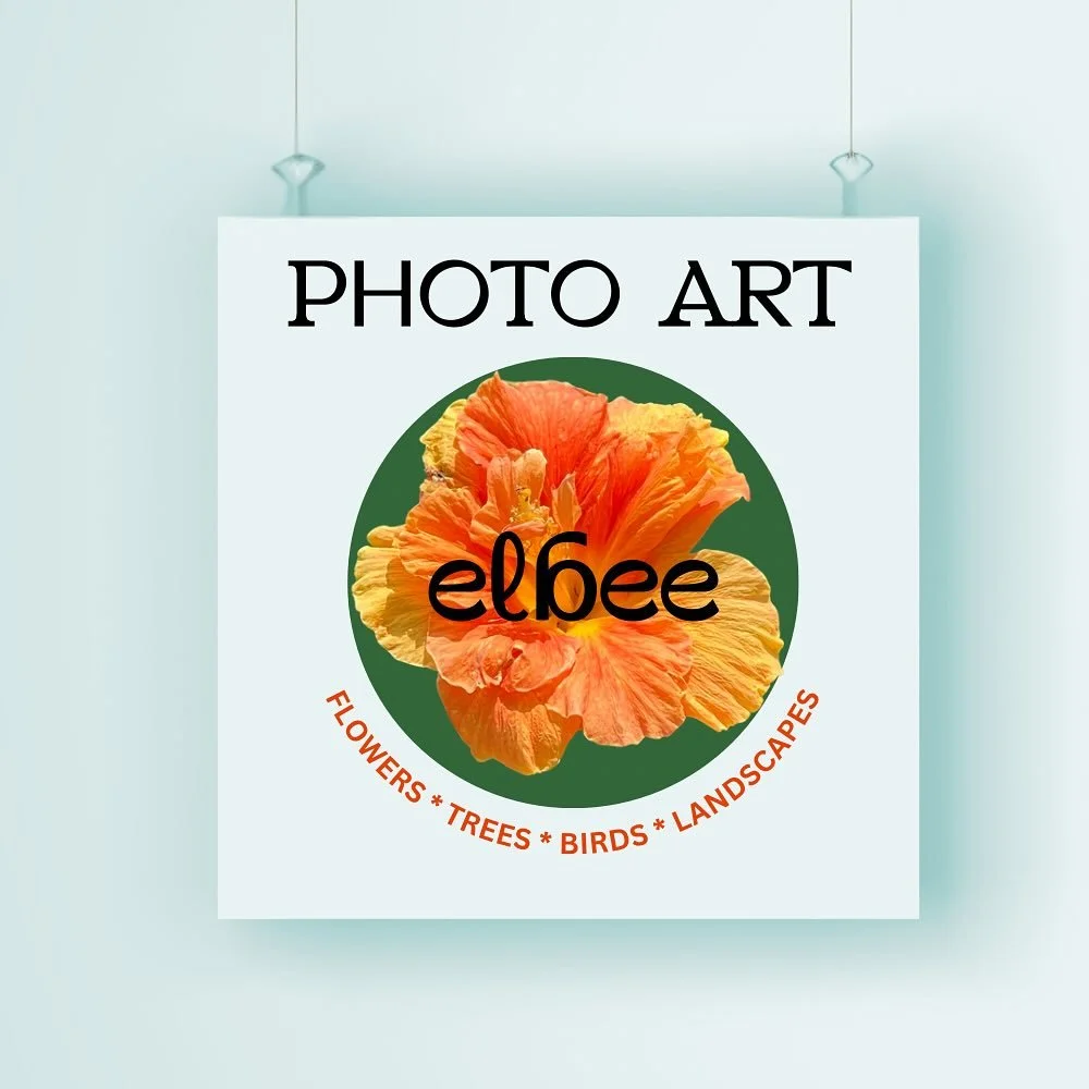 I&rsquo;m excited to announce I&rsquo;ve started a new creative venture, elbee photo art. I&rsquo;ve been photographing flowers for over a decade and I&rsquo;ve spent the last nine months in studio turning them into to prints and wall art to bring th