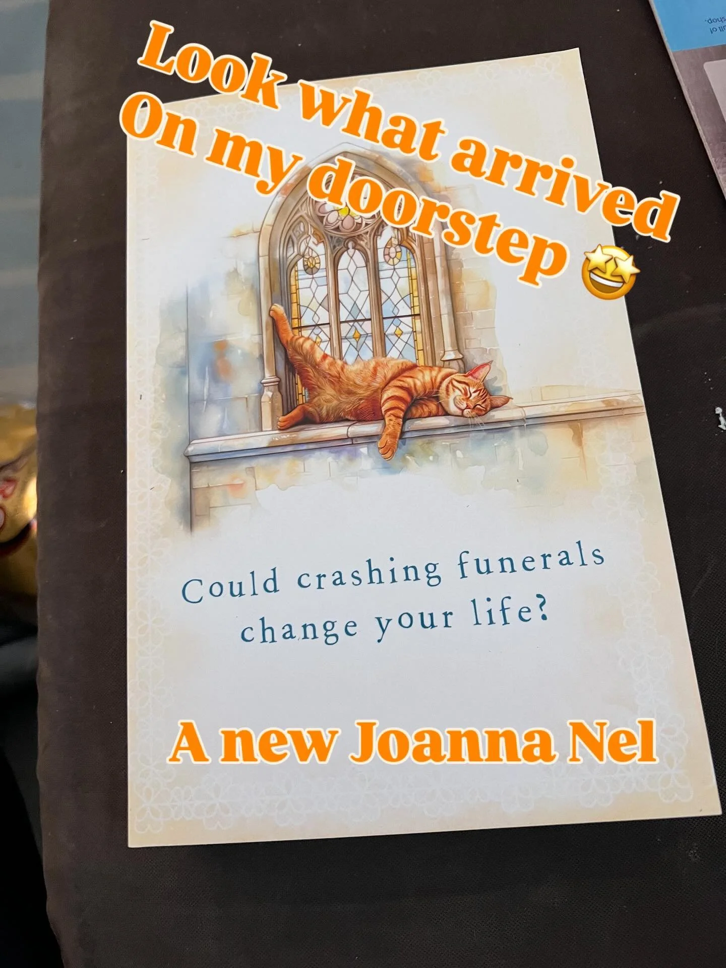 I just received an ARC of Joanna Nell&rsquo;s new novel, The Funeral. Crashers, which will be out in the wild on 30 September. I&rsquo;m so excited about reading this one (might have to be late for work 😬