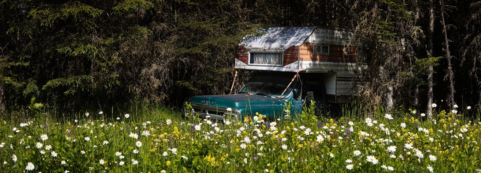 Overcome by the Wild