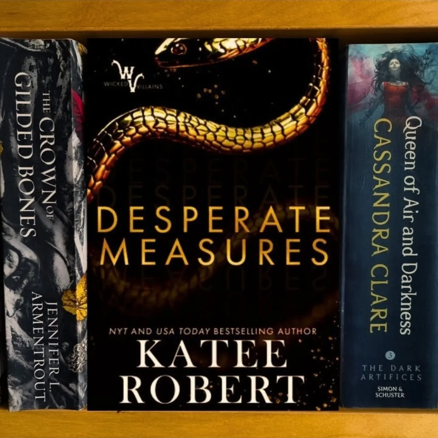 For the next few weeks I will be sharing my reviews for the Wicked Villains series by Katee Robert, starting with Desperate Measures.

📚 Thoughts

My least favourite of the Wicked Villains series so far (writing this review after having read books 2
