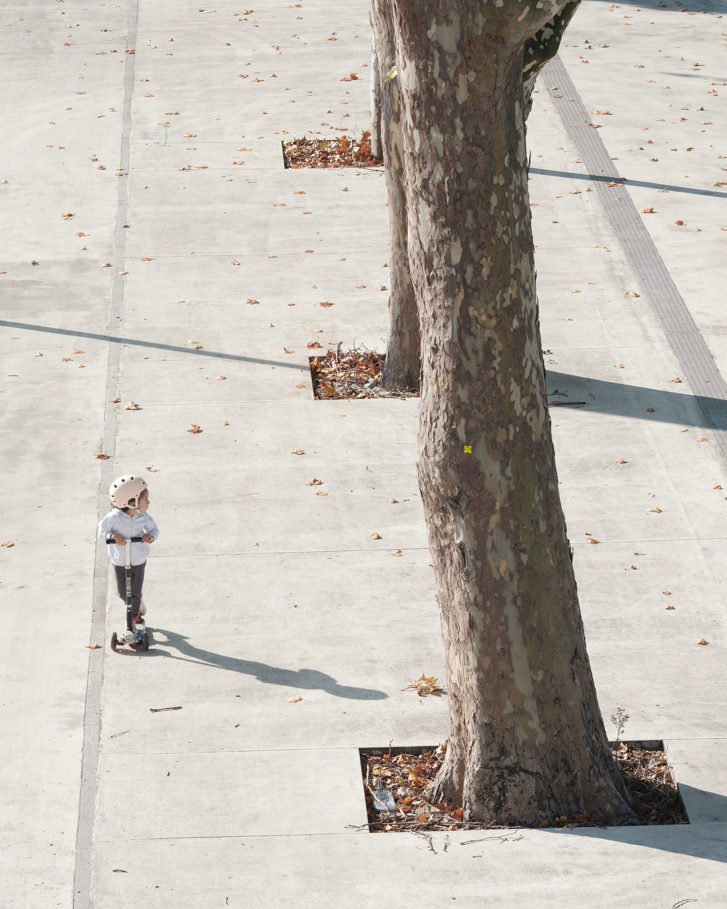 TER VOP © FLORIAN BOUZIGES-48.jpg