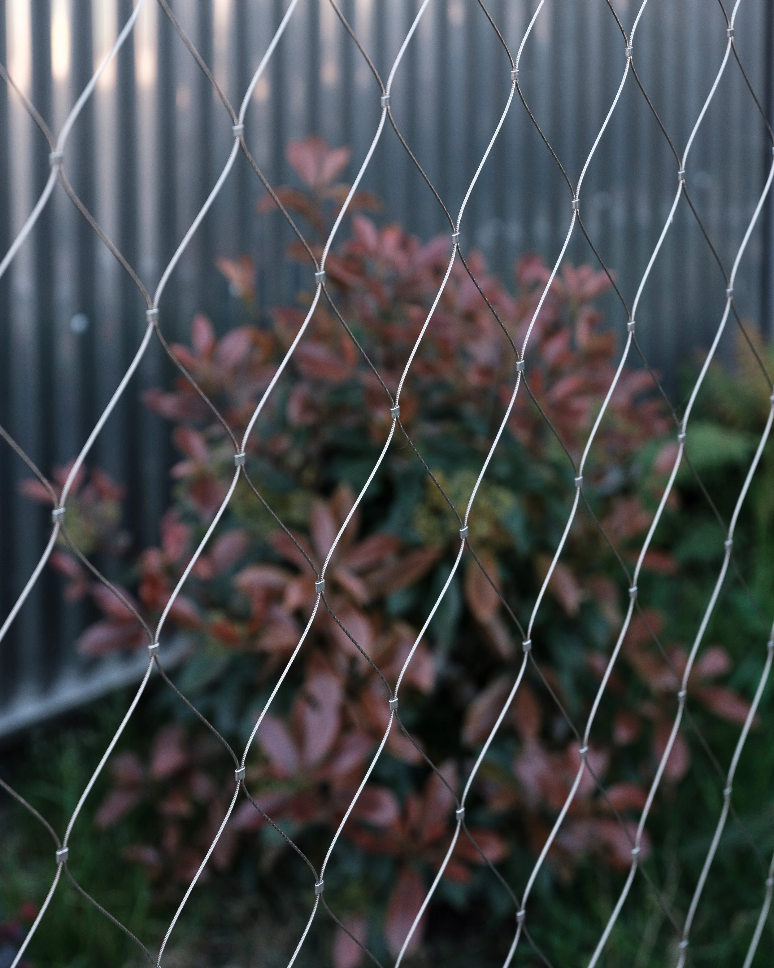 PC2A © FLORIAN BOUZIGES-5.jpg