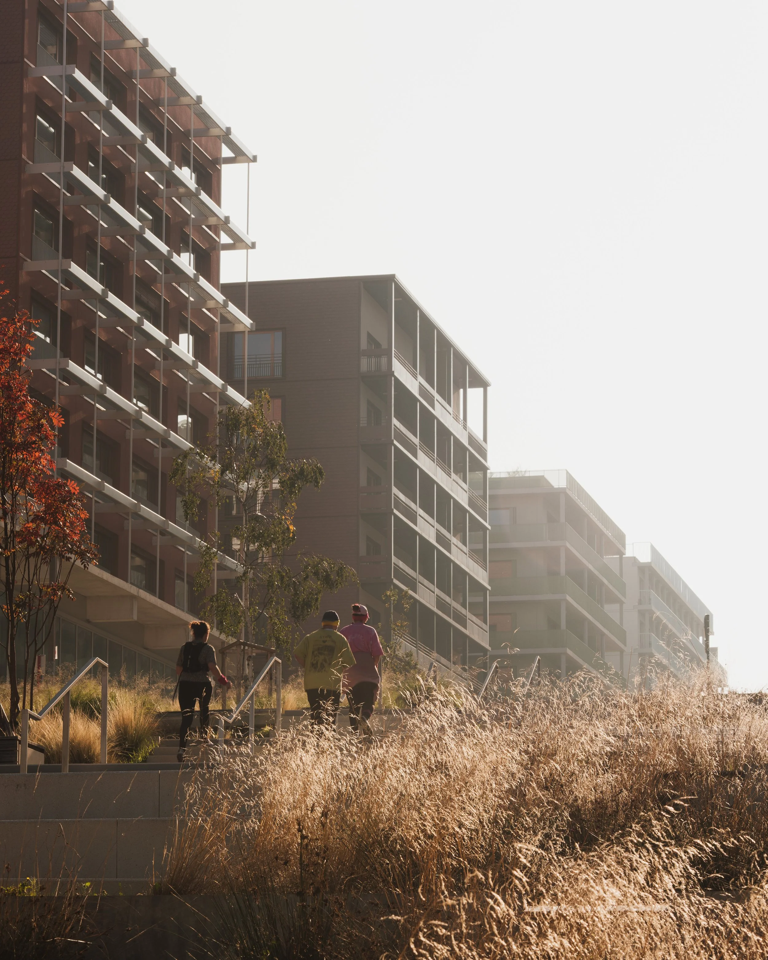 TER VOP © FLORIAN BOUZIGES-01.jpg