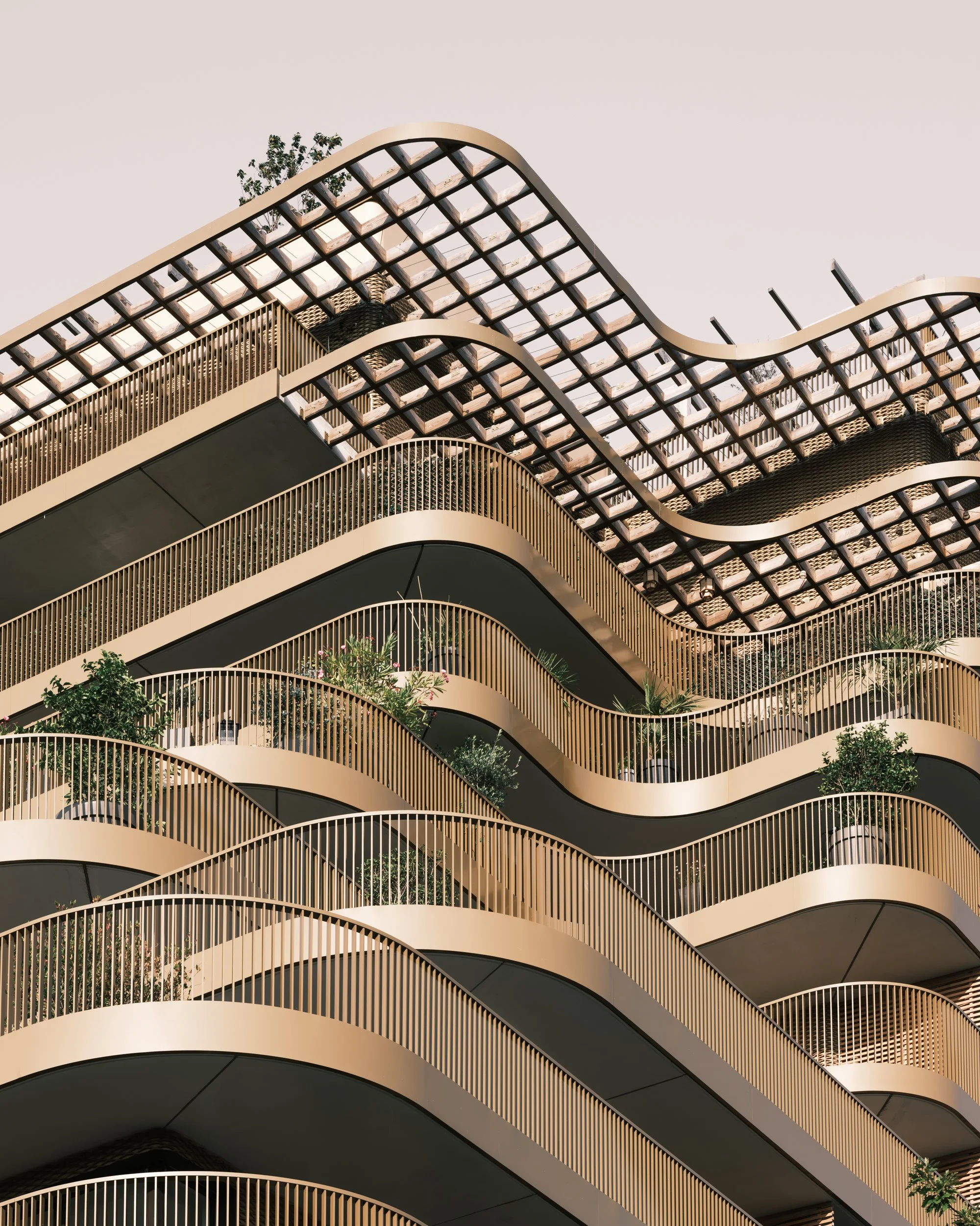 HAMONIC & MASSON - HIGH GARDEN