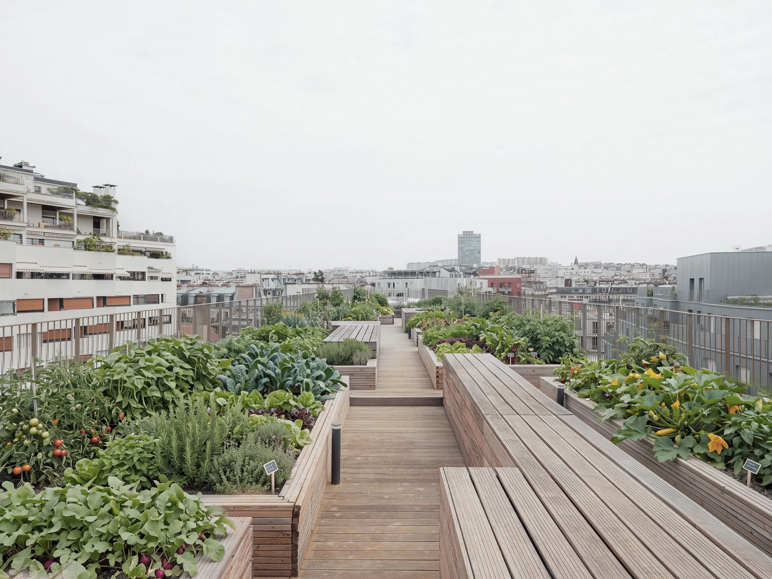 HAMONIC MASSON © FLORIAN BOUZIGES-05.jpg