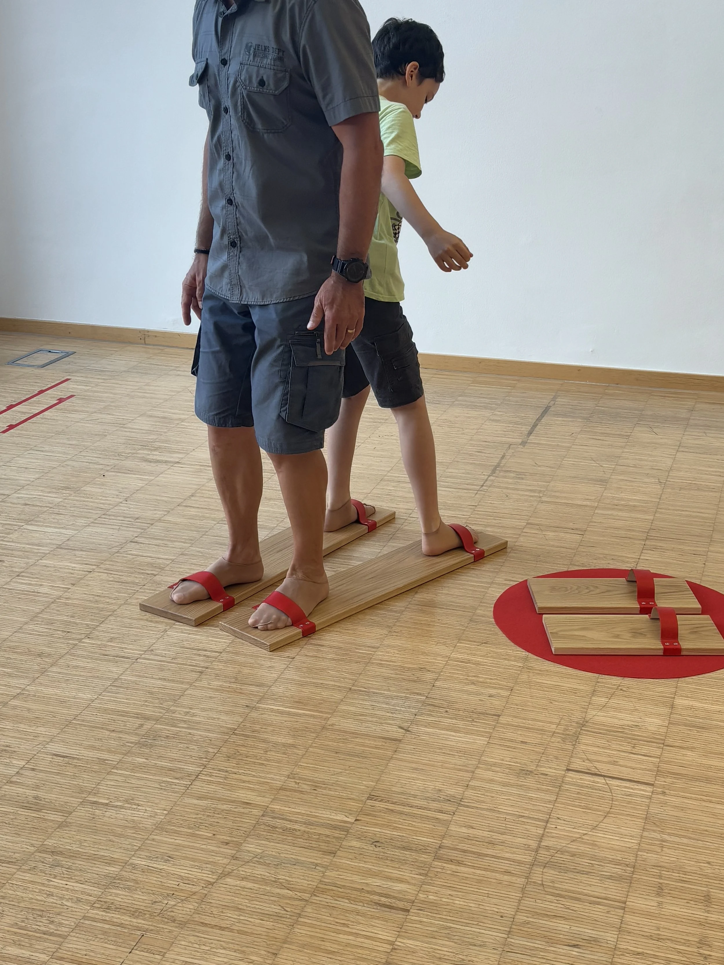 Modes of Transportation - Cooperation