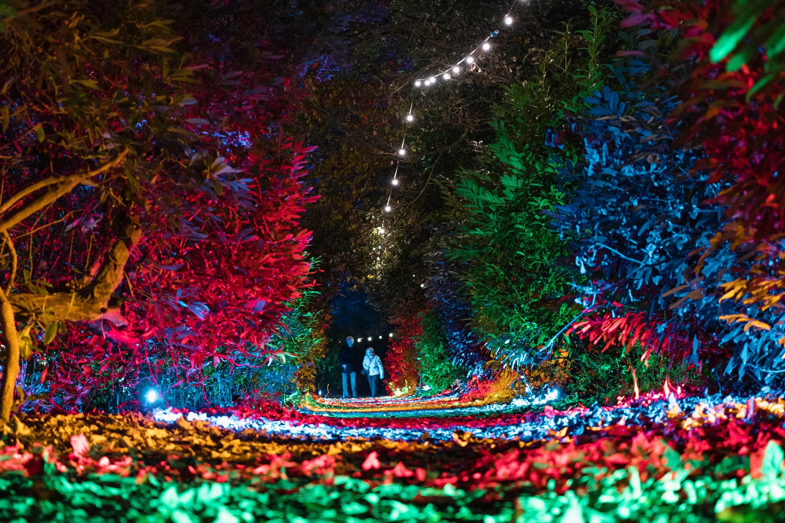 Northampton Winter Light Trail