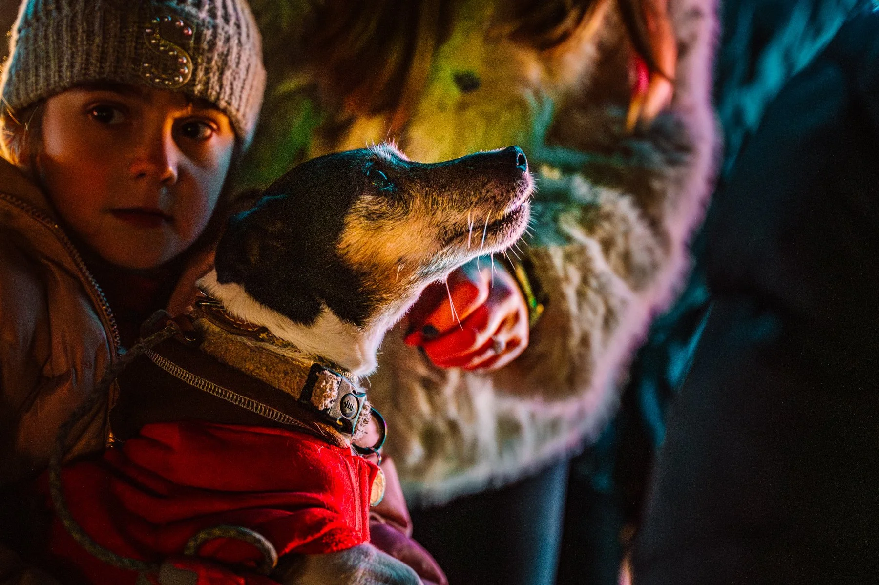 Winter Light Trail Trentham 2025 LR-113.jpg