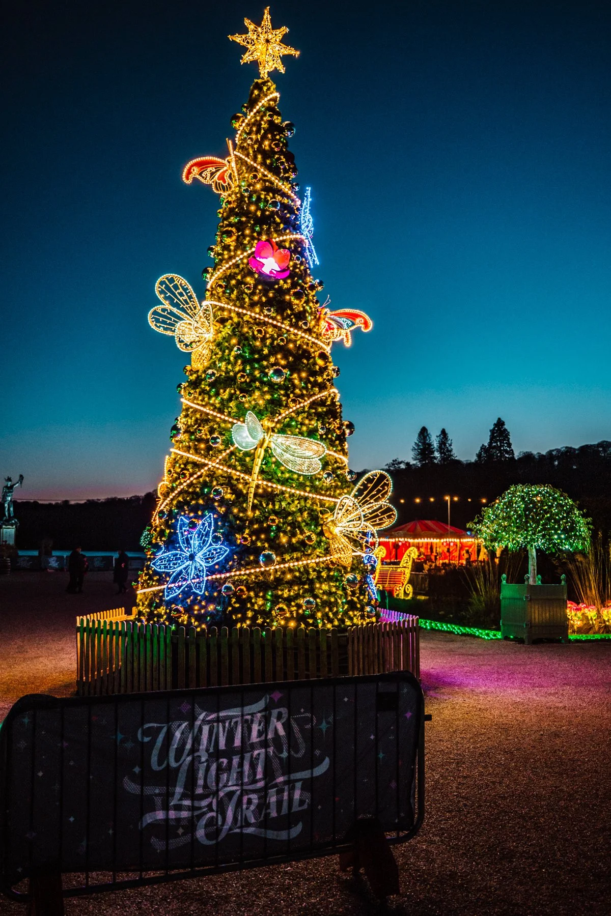 Winter Light Trail Trentham 2025 LR-15.jpg