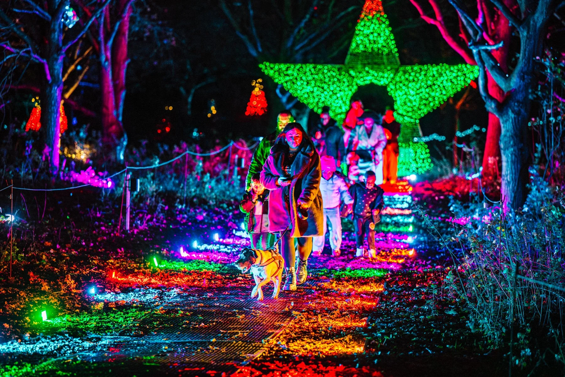 Winter Light Trail Northampton 2025 LR-59.jpg