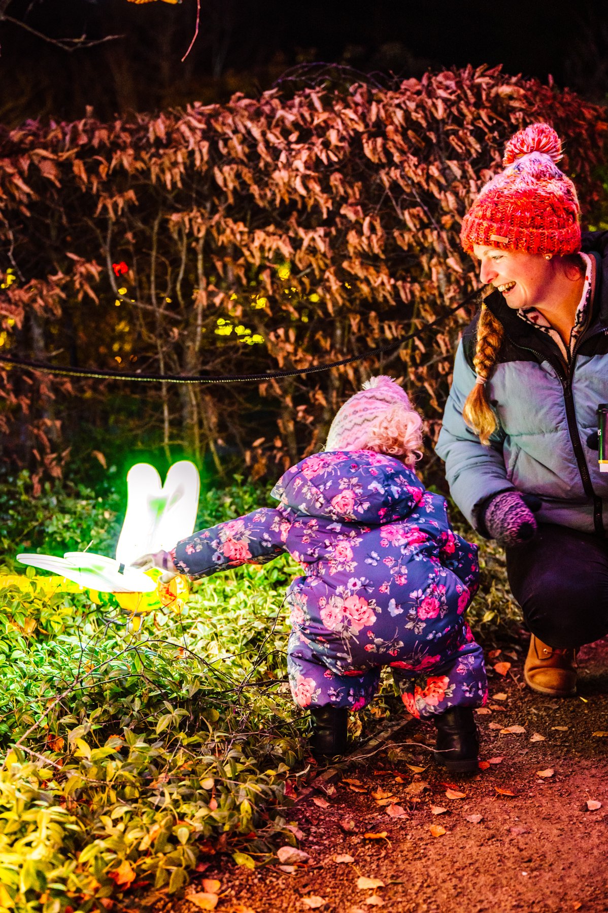 Winter Light Trail Trentham 2025 LR-101.jpg