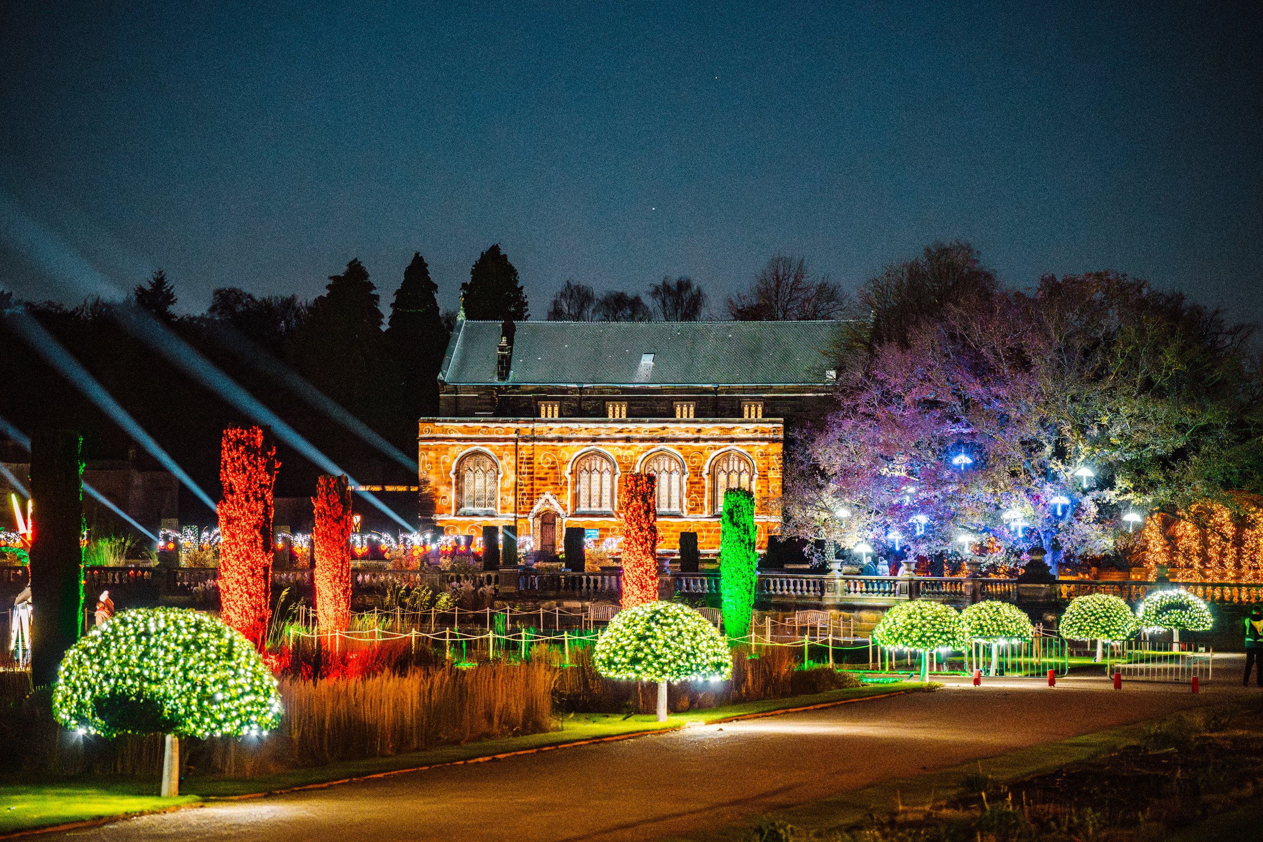 Winter Light Trail Trentham 2025 HR-31.jpg