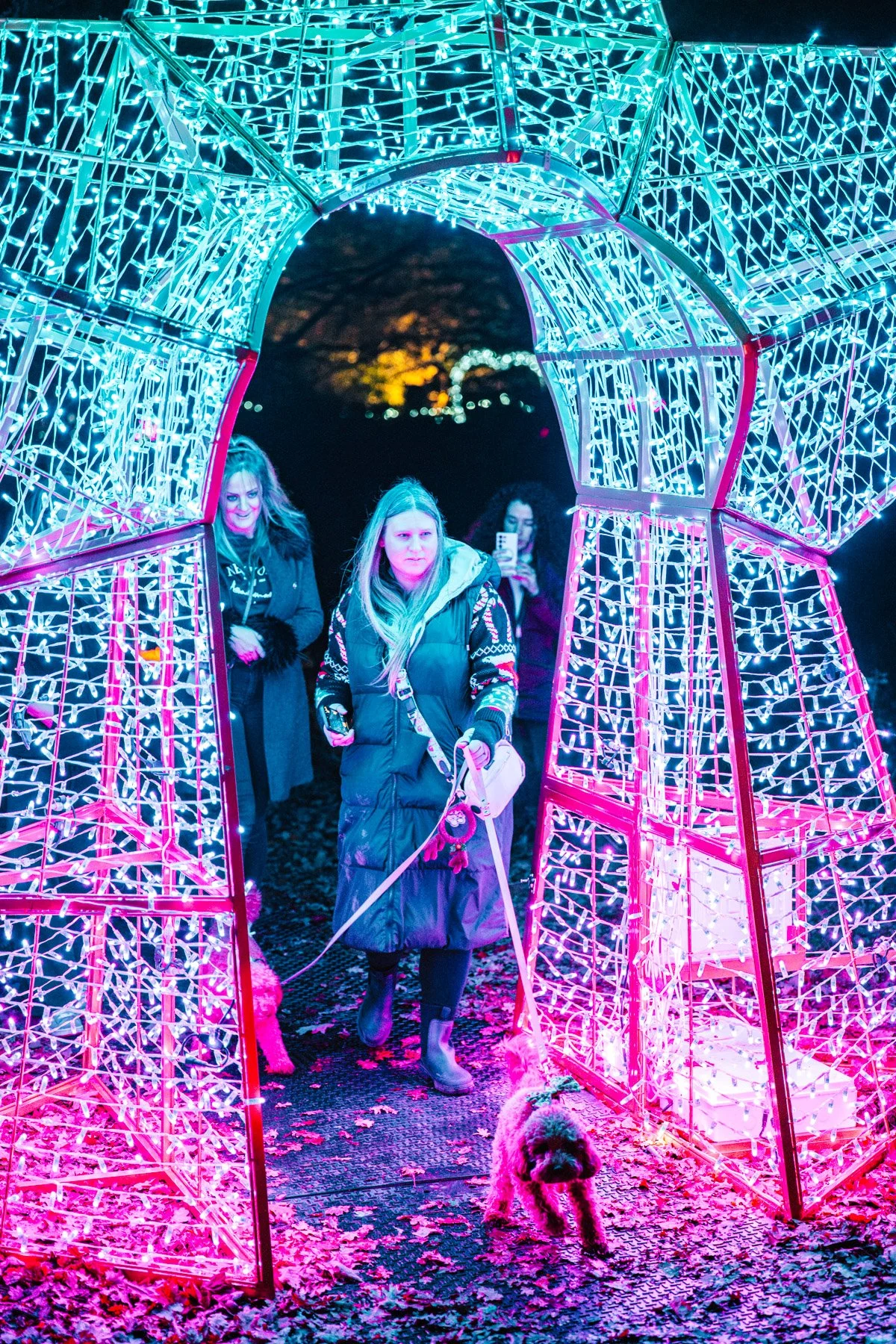 Winter Light Trail Northampton 2025 LR-52.jpg