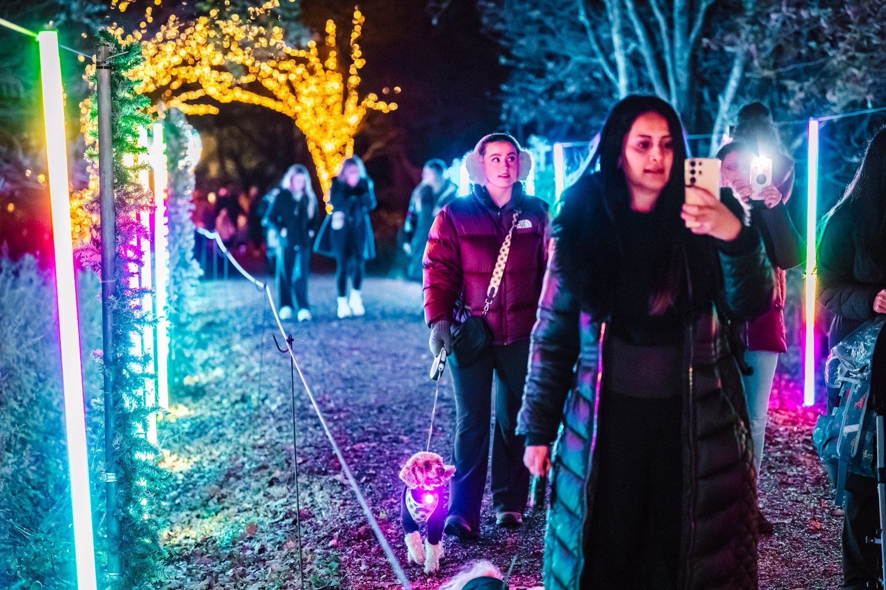 Winter Light Trail Northampton 2025 LR-38.jpg