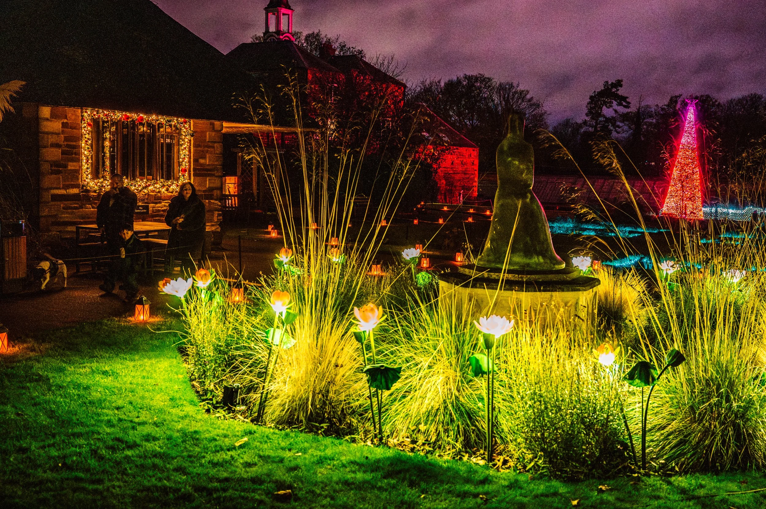 Winter Light Trail Northampton 2025 HR-95.jpg