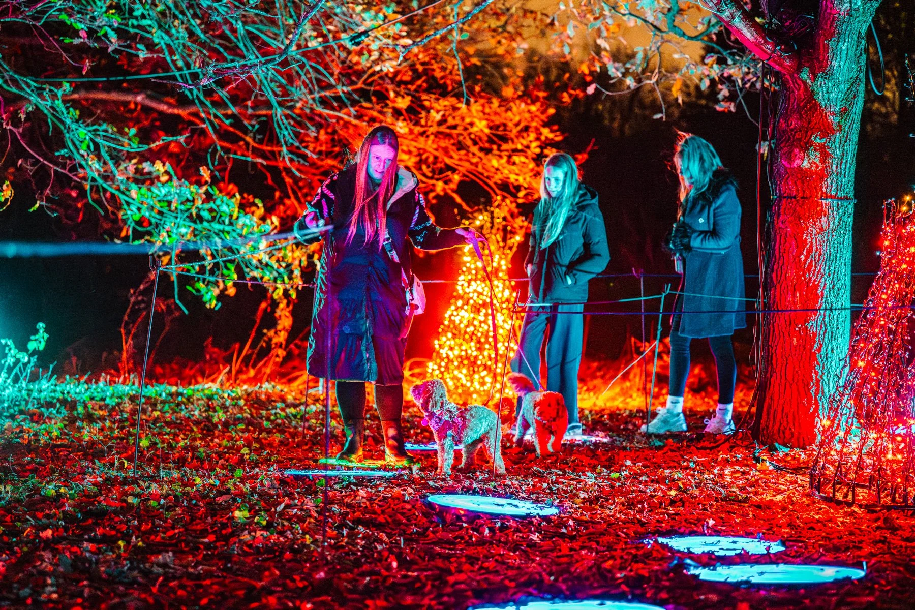 Winter Light Trail Northampton 2025 LR-47.jpg